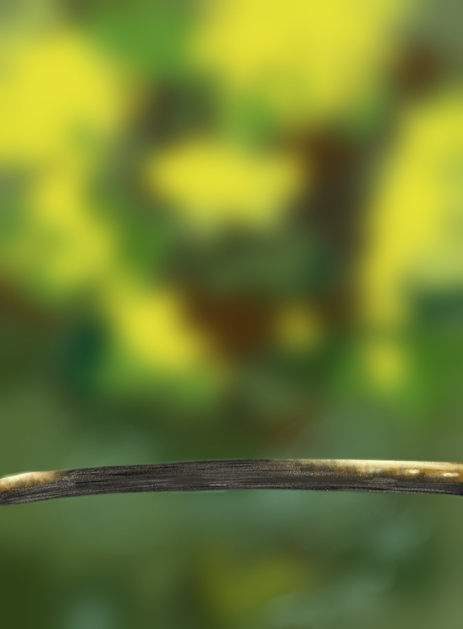 DPS Prog-1-1-Exercice5-Oiseau-Commencement.jpg