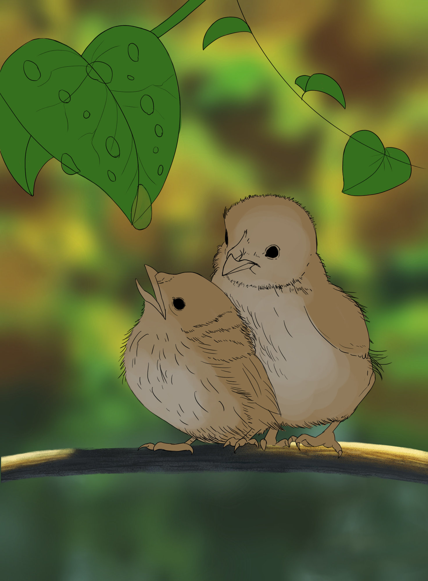 oisillons partie 2.jpg