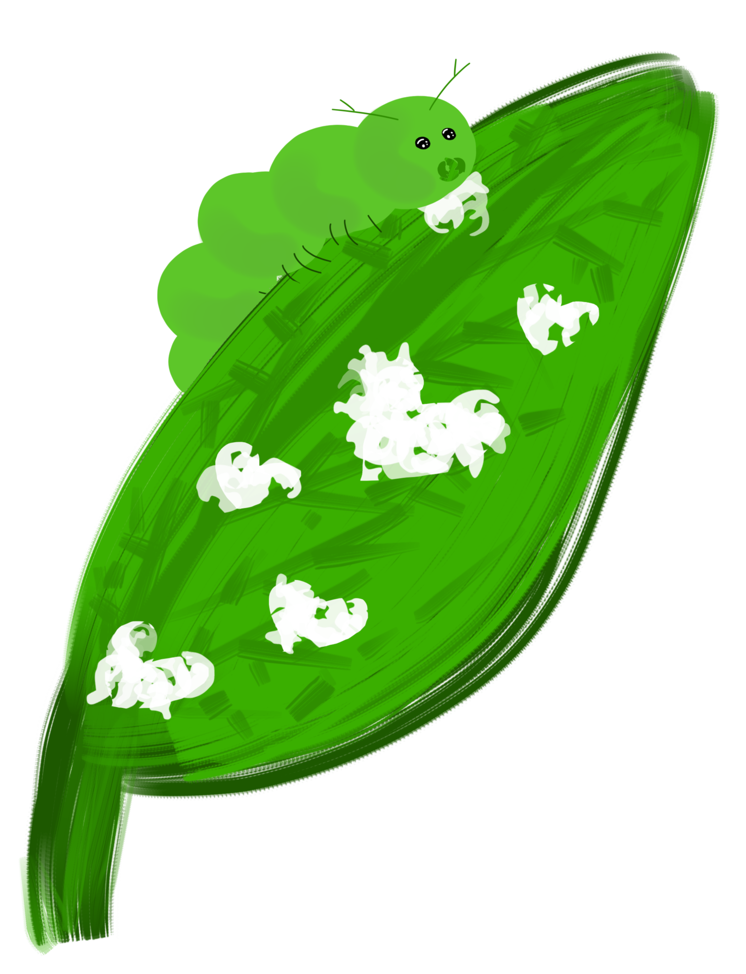 chenille peace exo hebdo.png