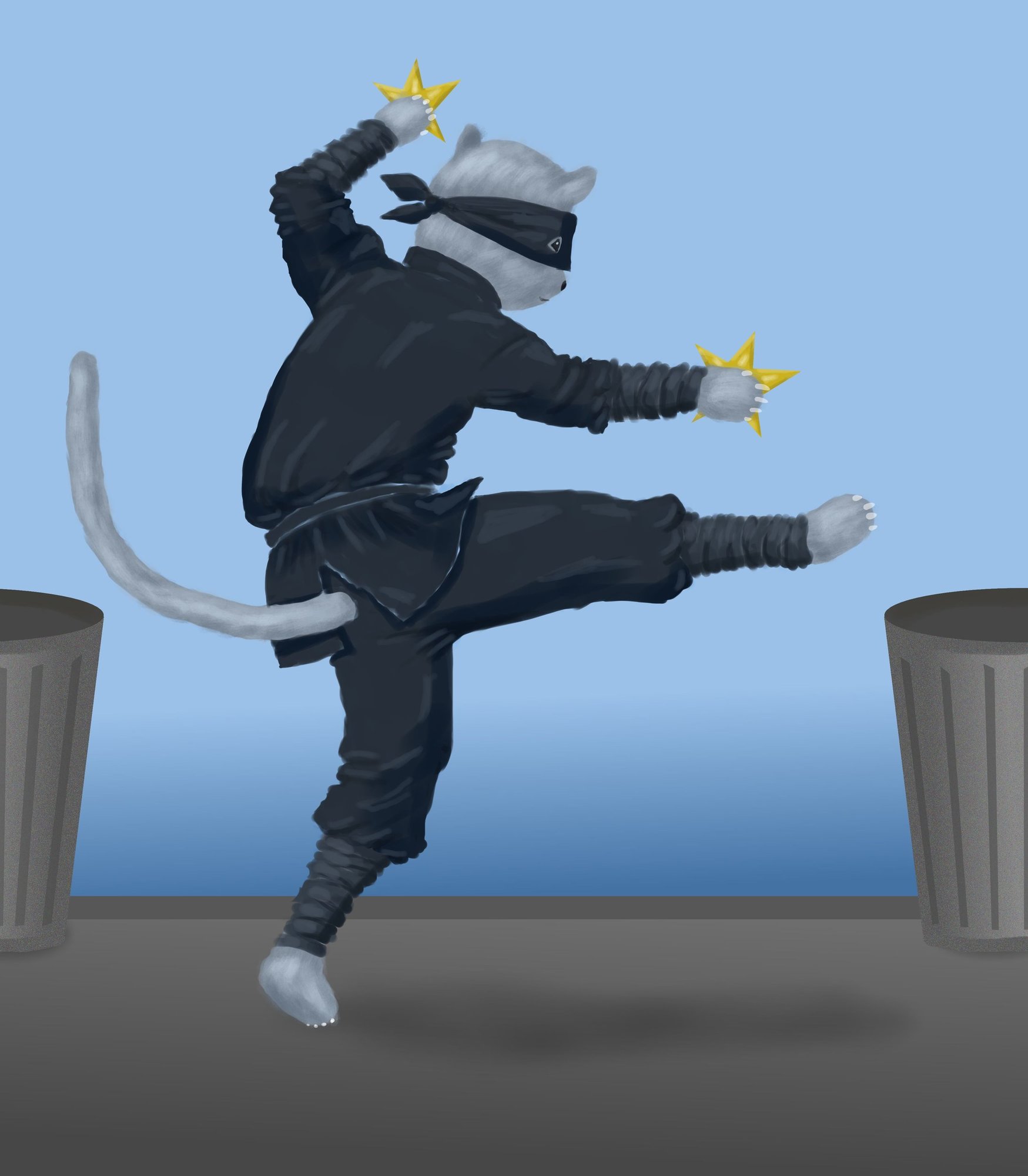 ninja_cat9.jpg