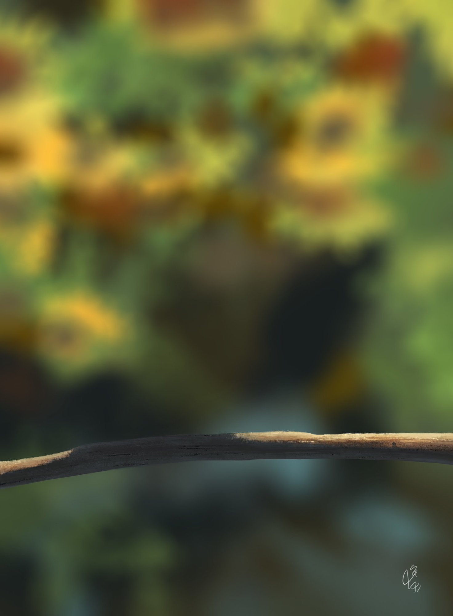 exercice 5 dpsc pas a pas.jpg