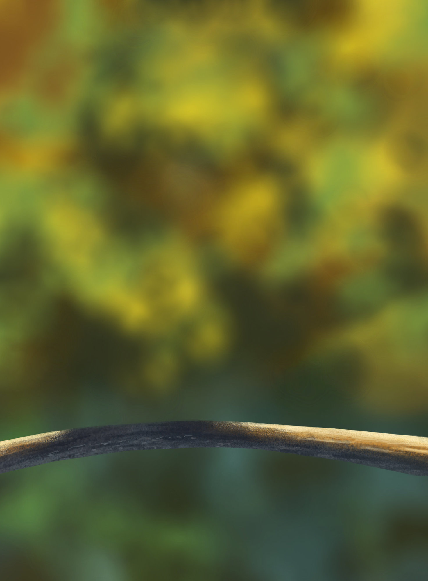 DPS Prog-1-1-Exercice5-Oiseau-Commencement.jpg