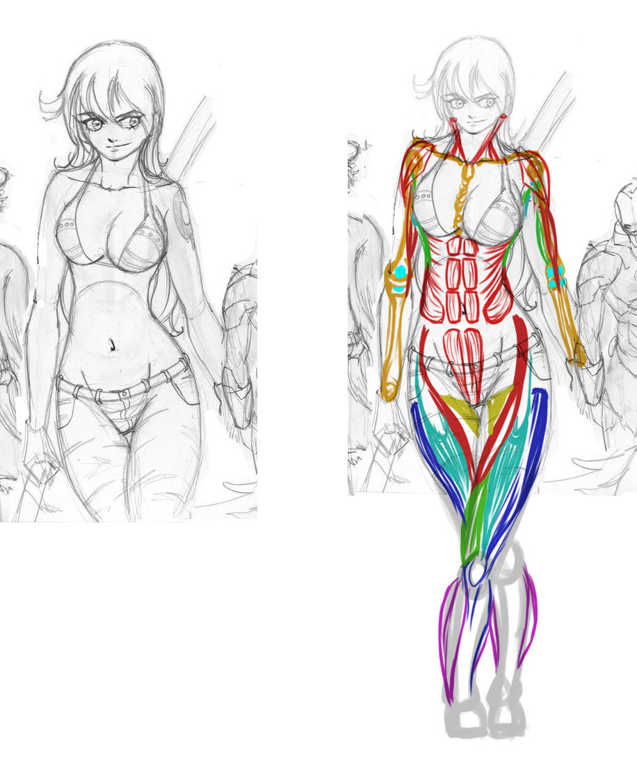 Nami_Anatomie.jpg.9dc0b57a16a45b826469c6220ea124a5.jpg