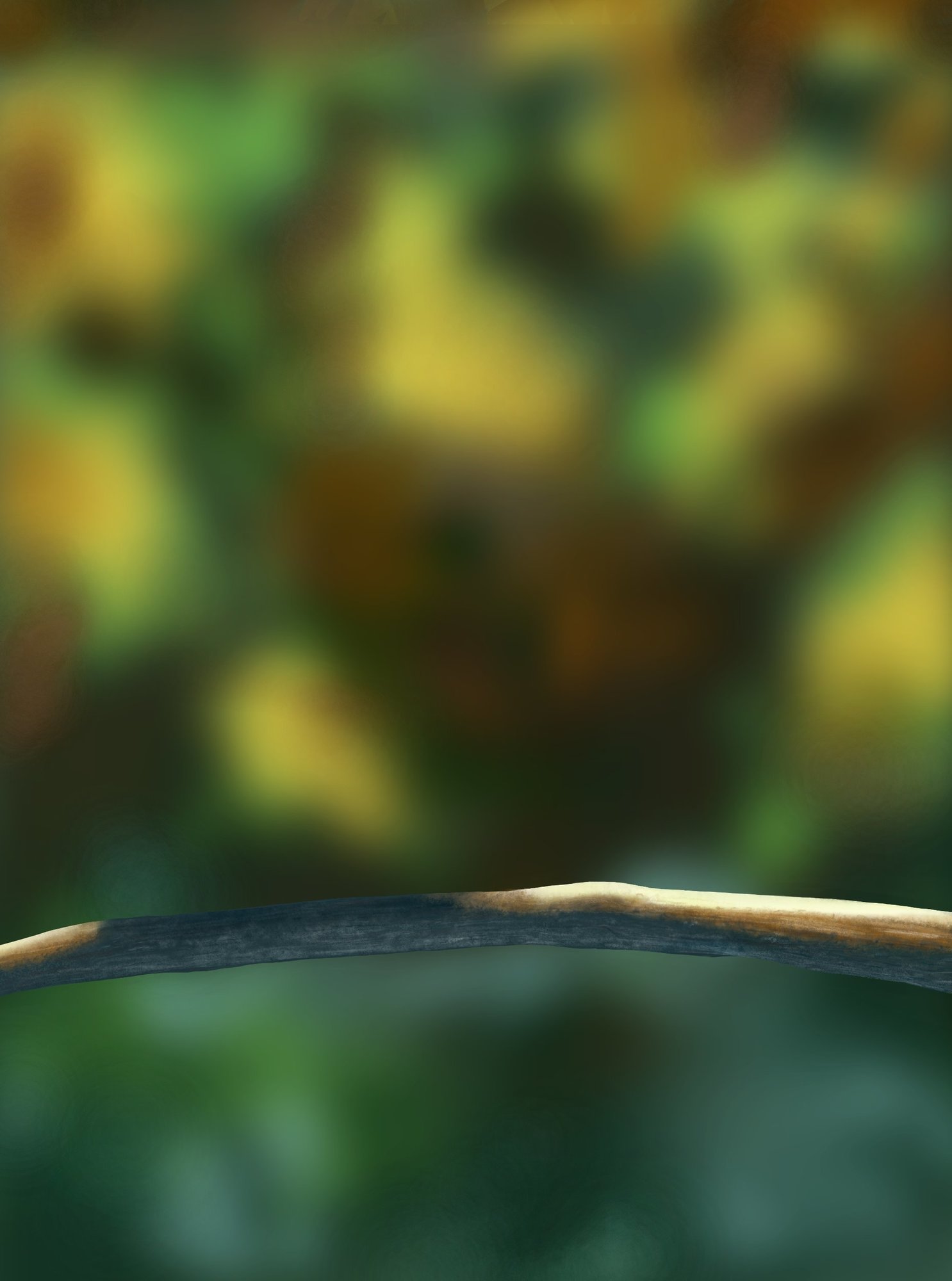 Exercice 5 oisillons ValKalahan.jpg