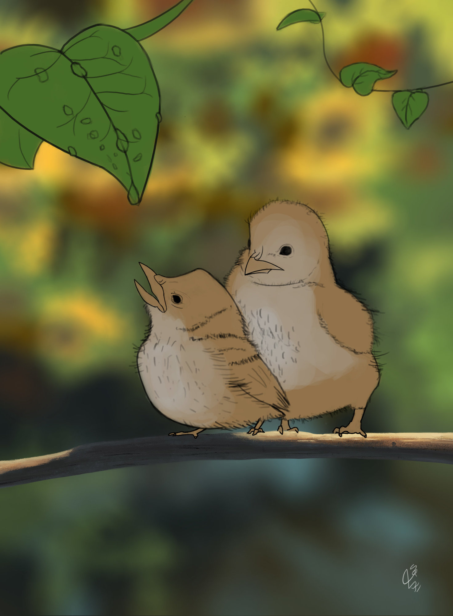 oisillons pas pa pas.jpg