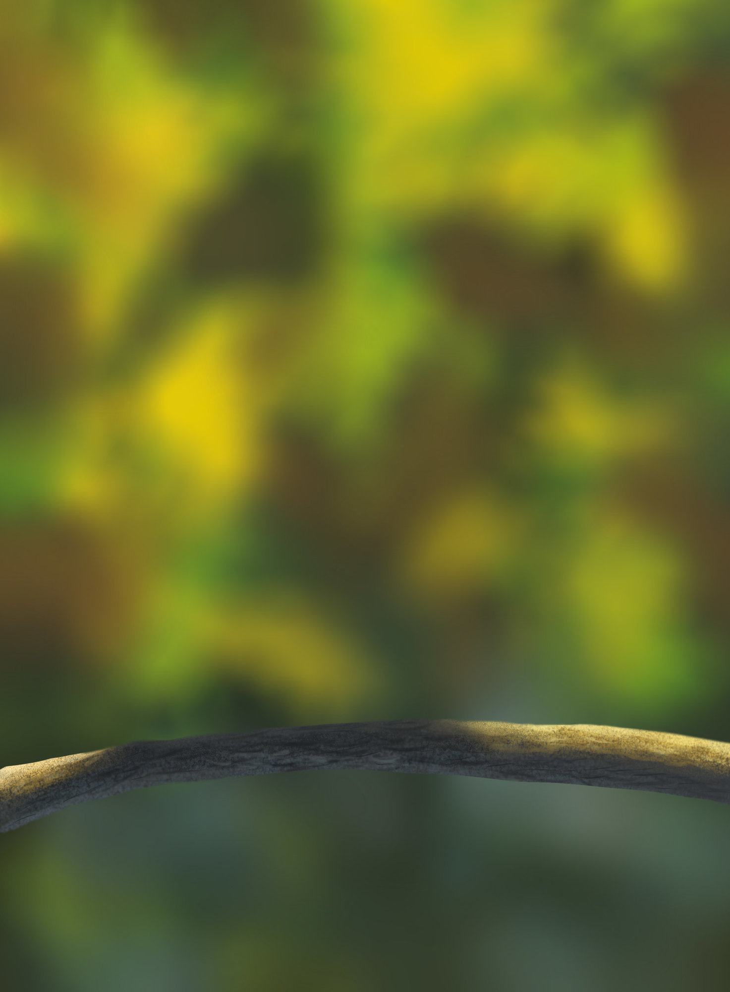 Branche Chapitre 1.jpg