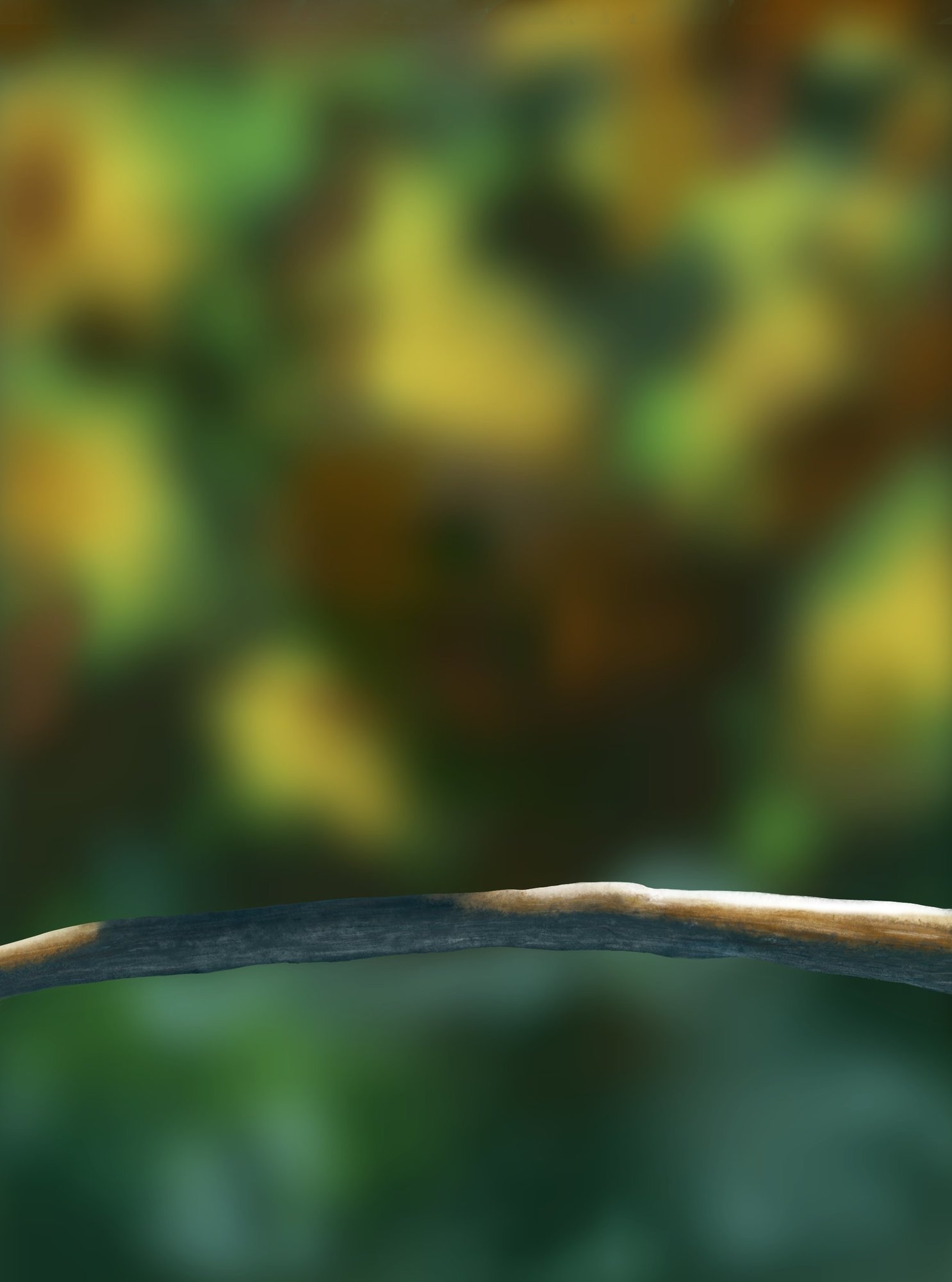 Exercice 5 oisillons ValKalahan.jpg