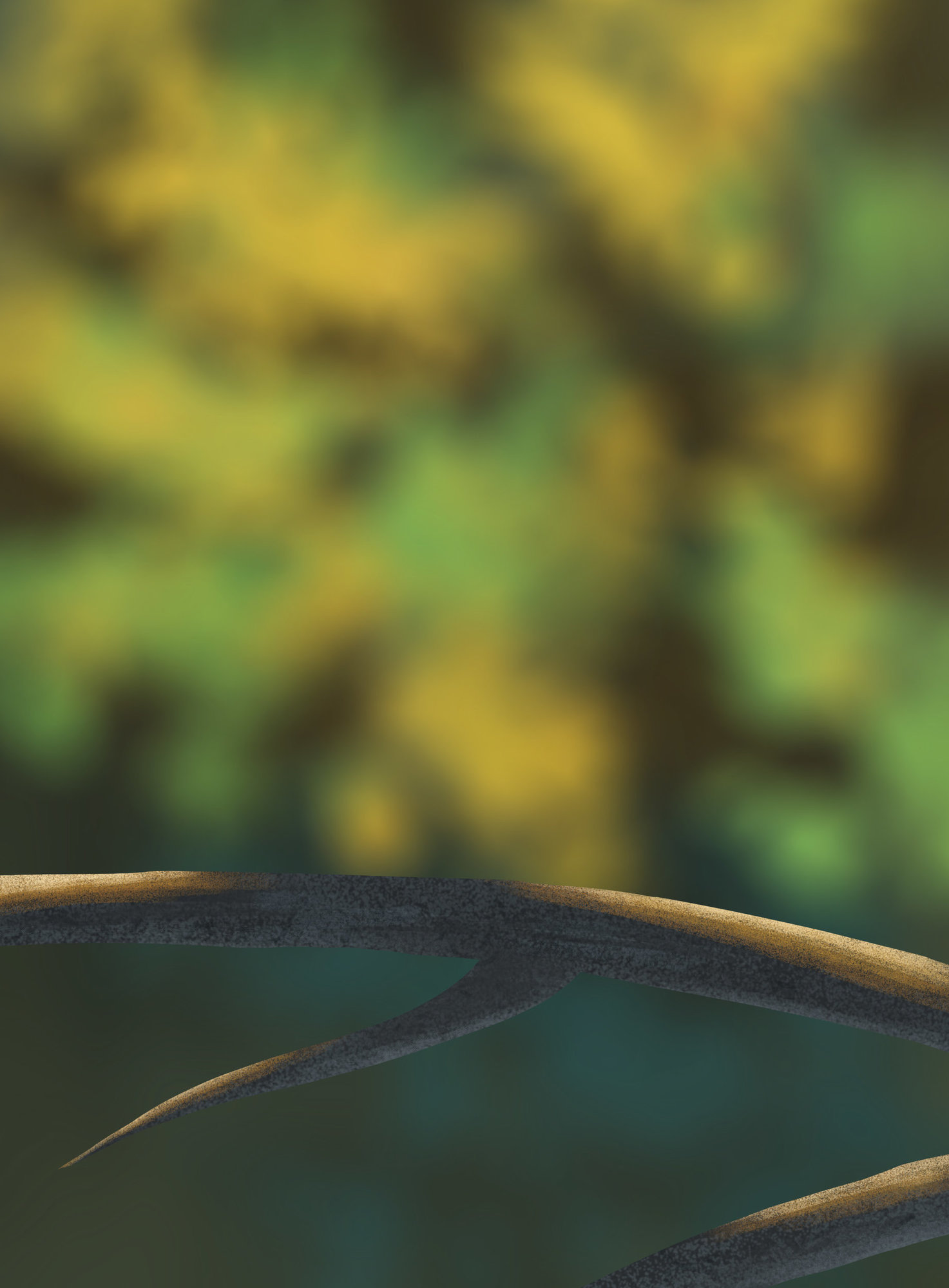 DPS Prog-1-1-Exercice5-Oiseau-Etape1_wulkrym.jpg