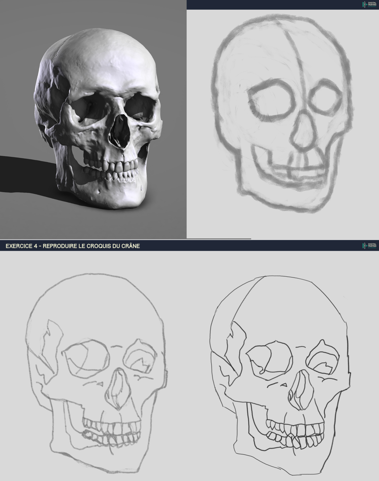 DPS-Prog-1-2-2-démo-crane-croquis 002.png