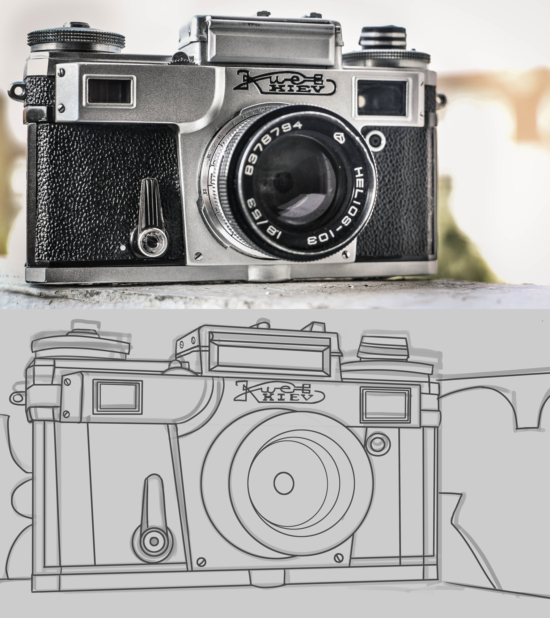 pexels-photo-93303 reduit.jpg