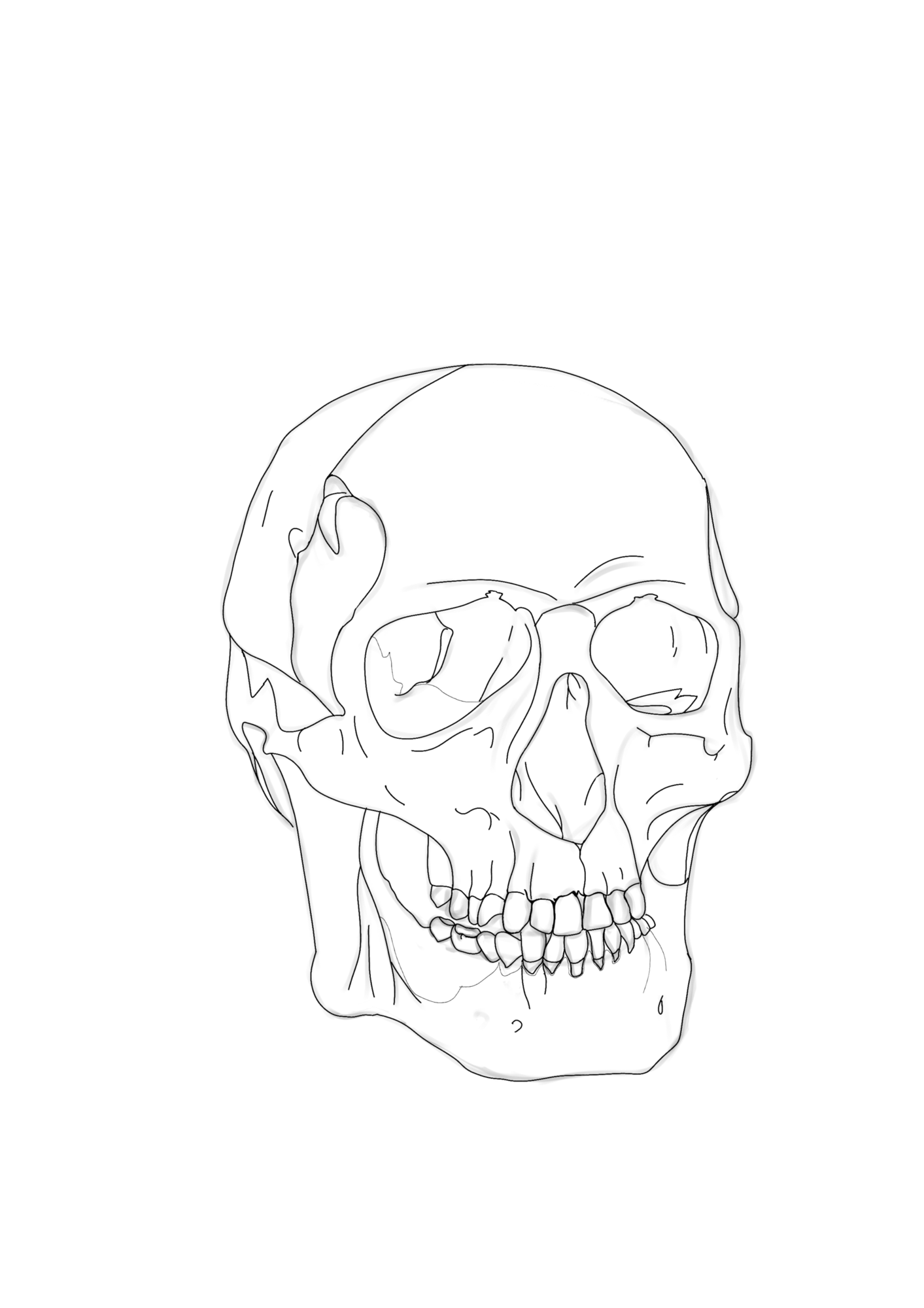 L archere - crane.png