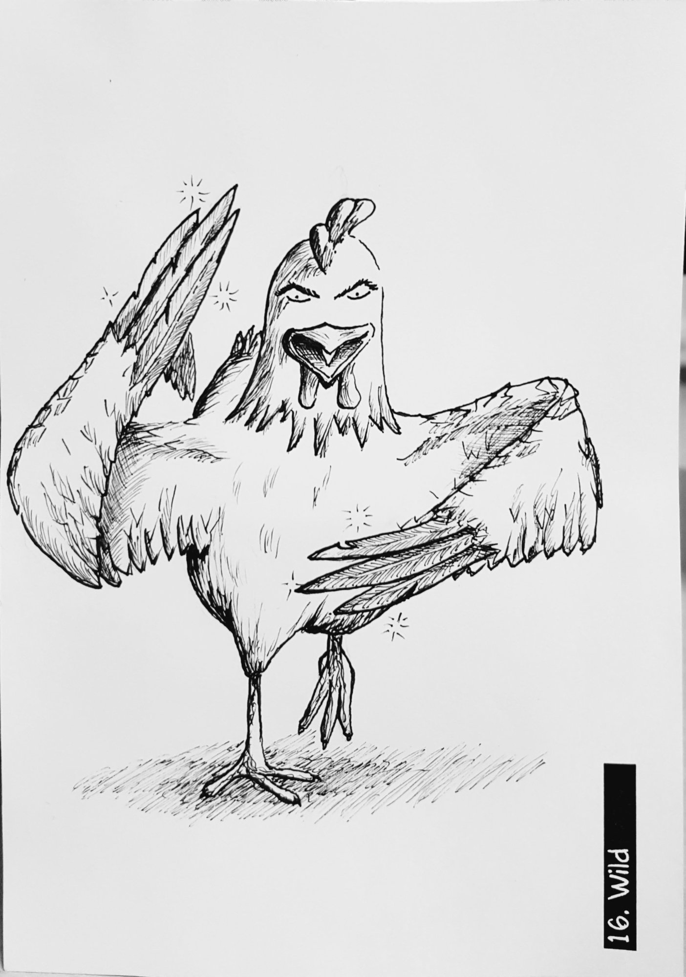 16.Wild.jpg