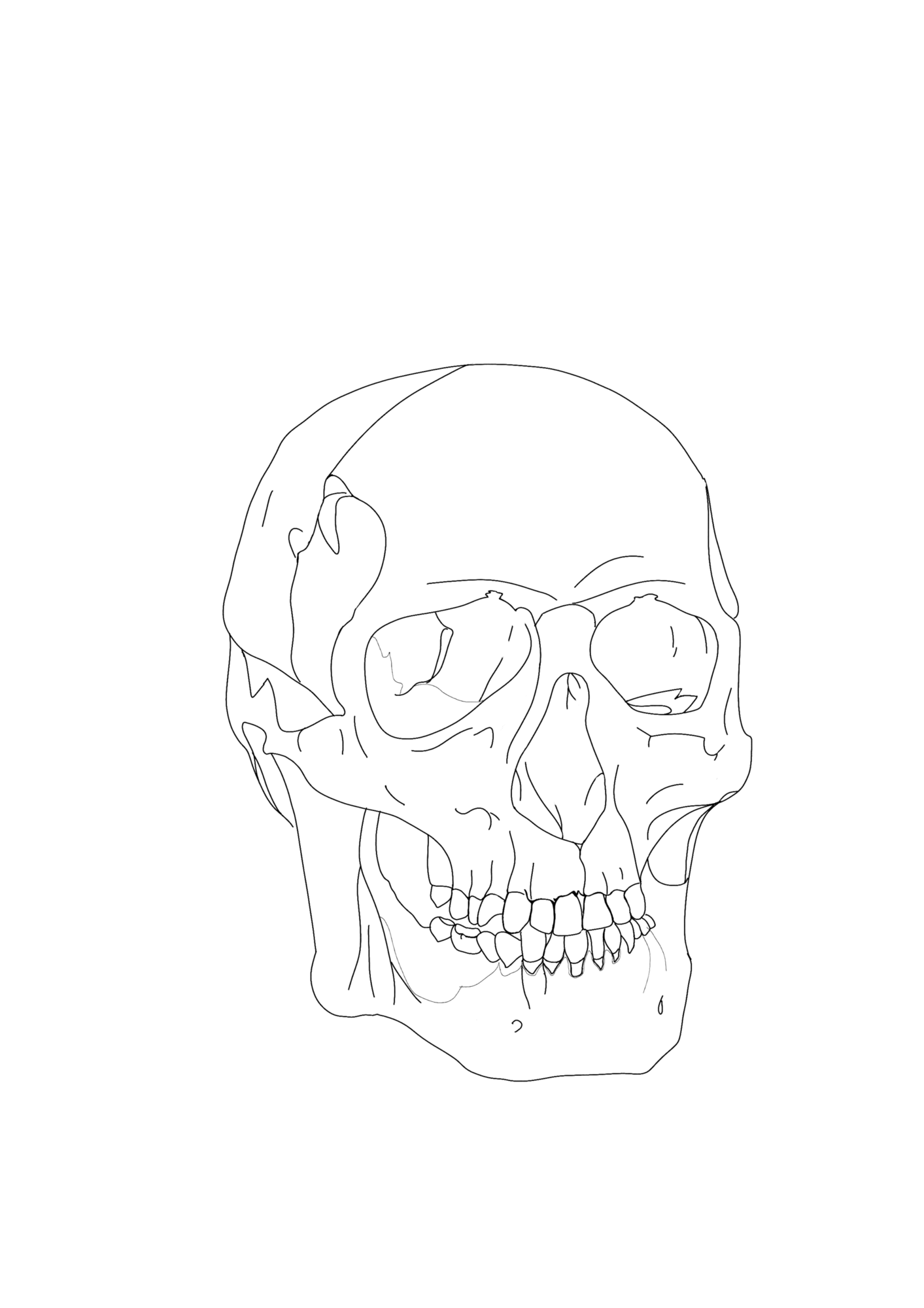 L archere - crane.png