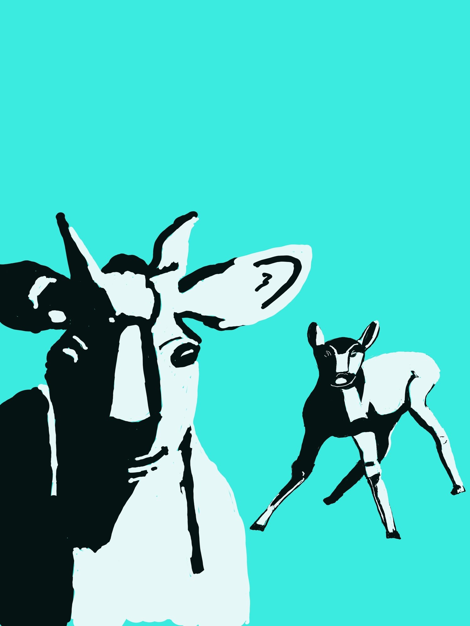 frail 08 oct 2019.jpg