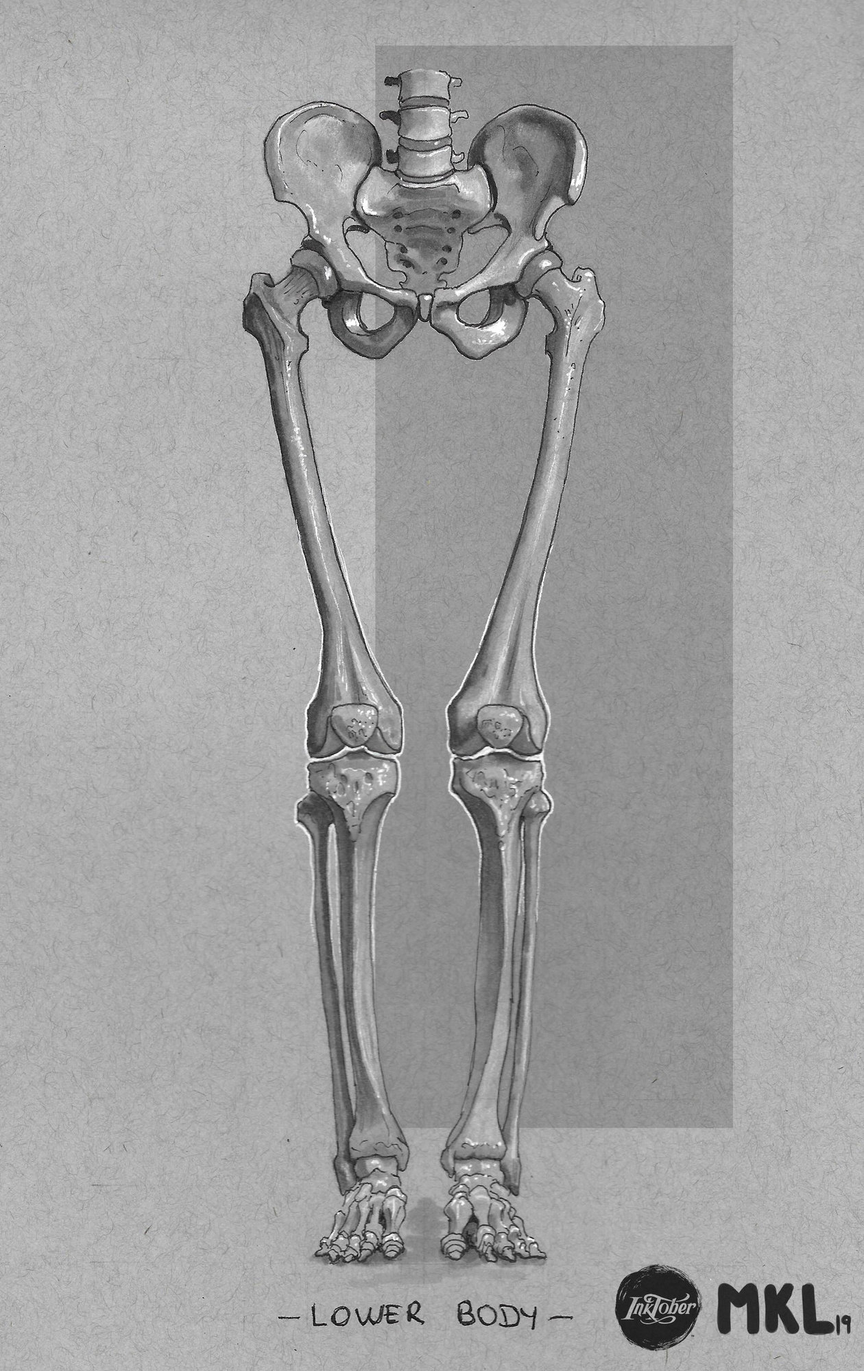 Day 11 lower body 1.jpg