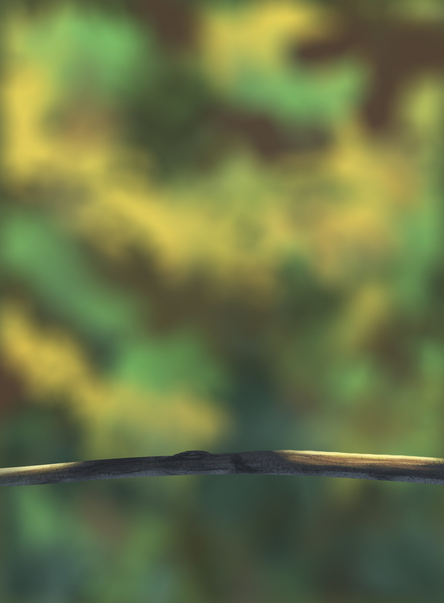 DPS Prog-1-1-Exercice5-Oiseau-Commencement.jpg