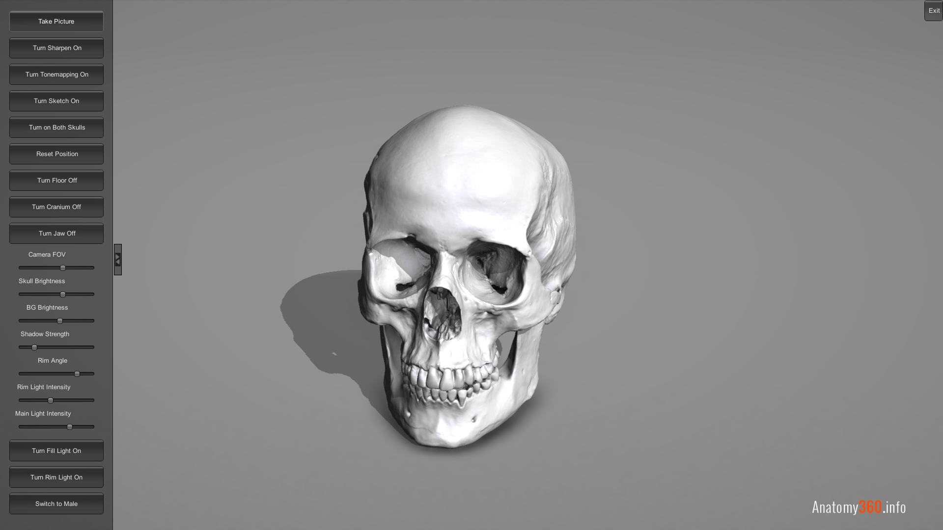 Skull4.png.71fbc685bae6aa76ec9bbfdd08b8145e.png