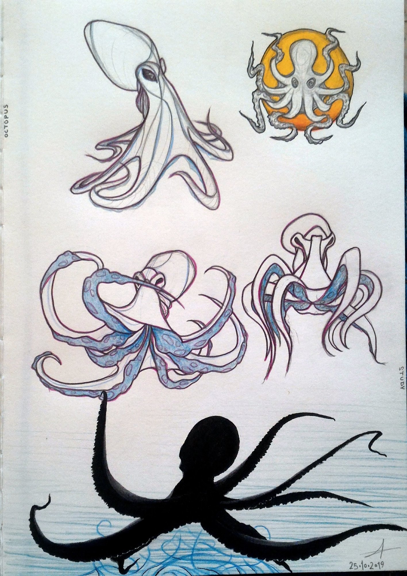 octopus_study.jpg