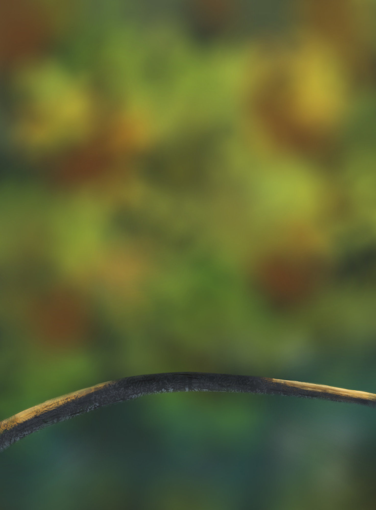 DPS Prog-1-1-Exercice5-Oiseau-Commencement V2.jpg