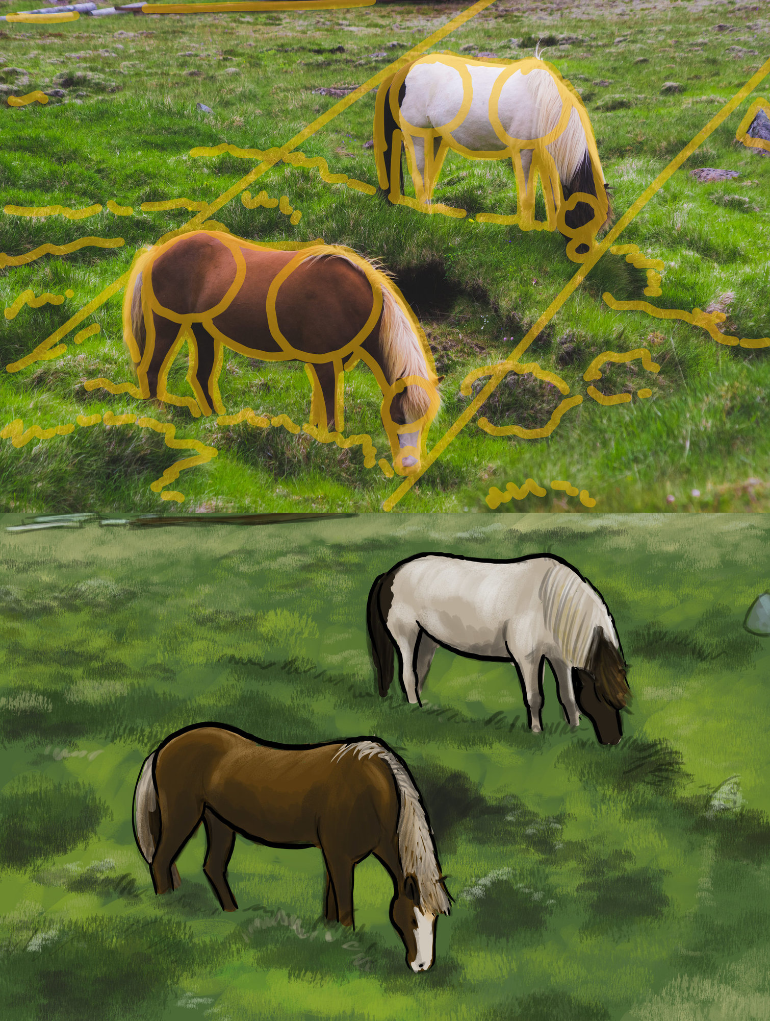 bt05 etude 07 chevaux.jpg