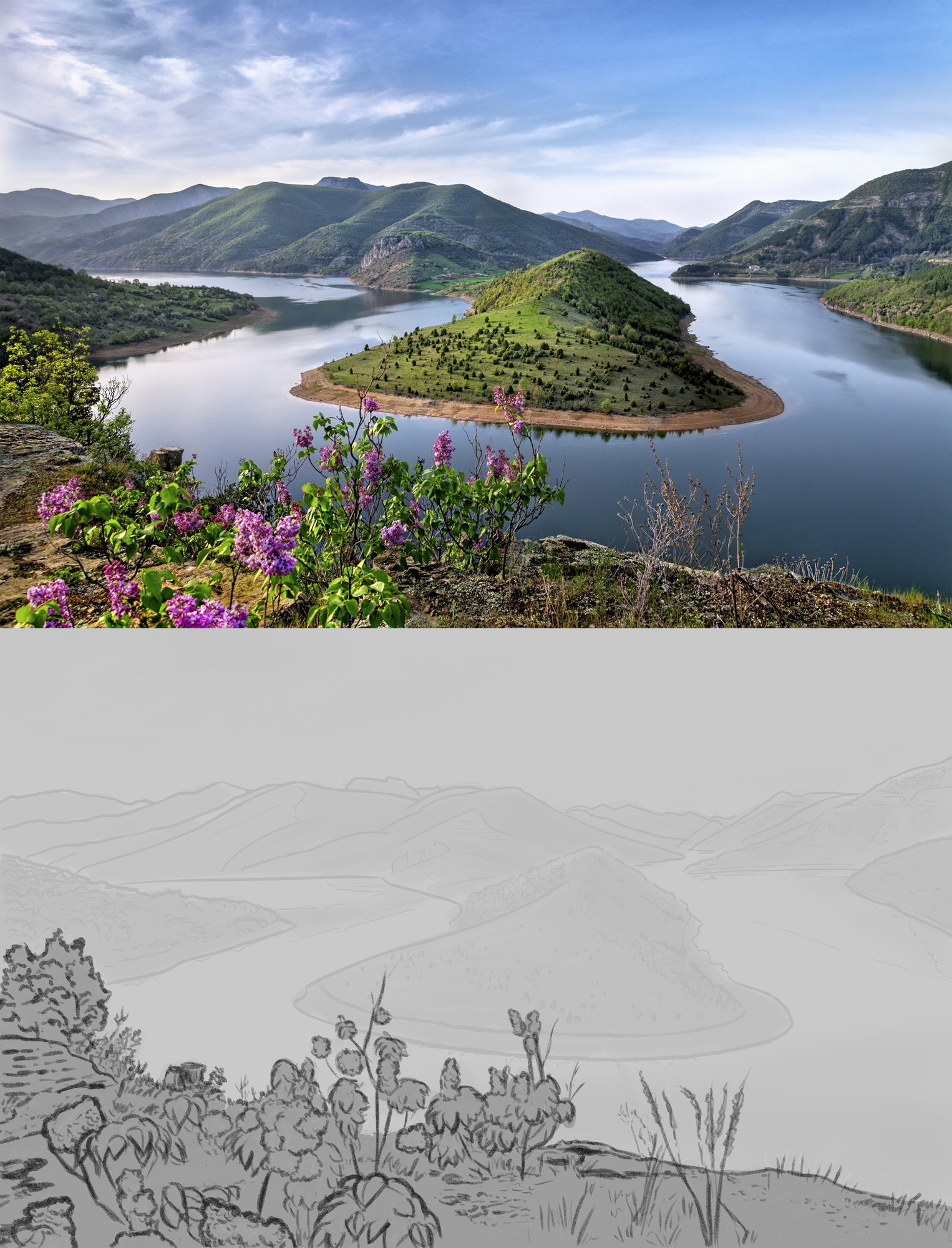 bt05 etude 03 ile vegetaux.jpg