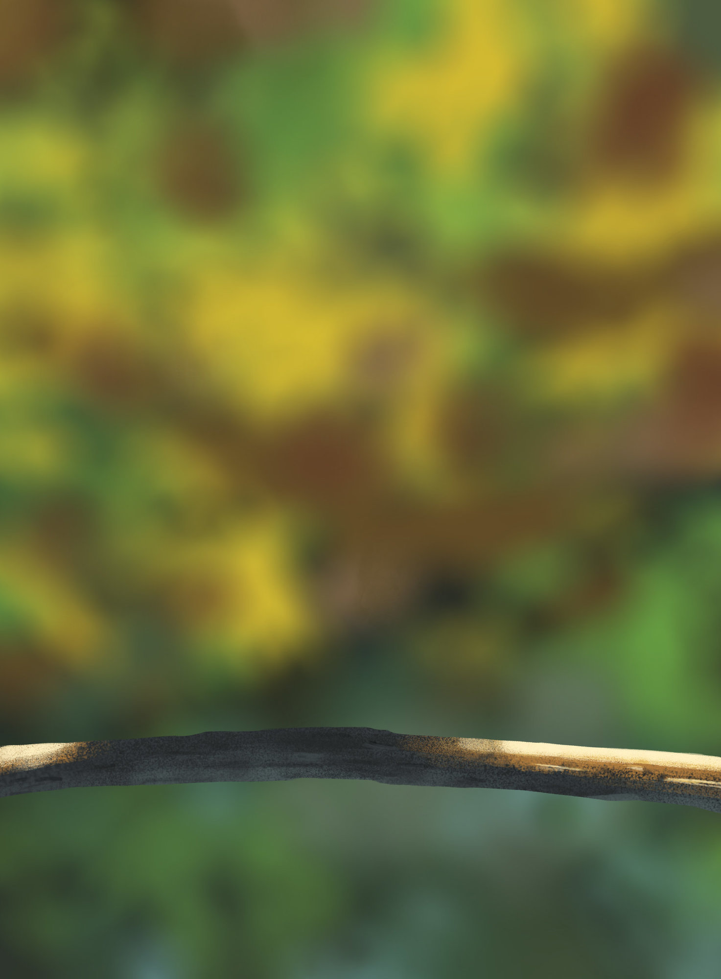 DPS Prog-1-1-Exercice5-Oiseau-Commencement.jpg