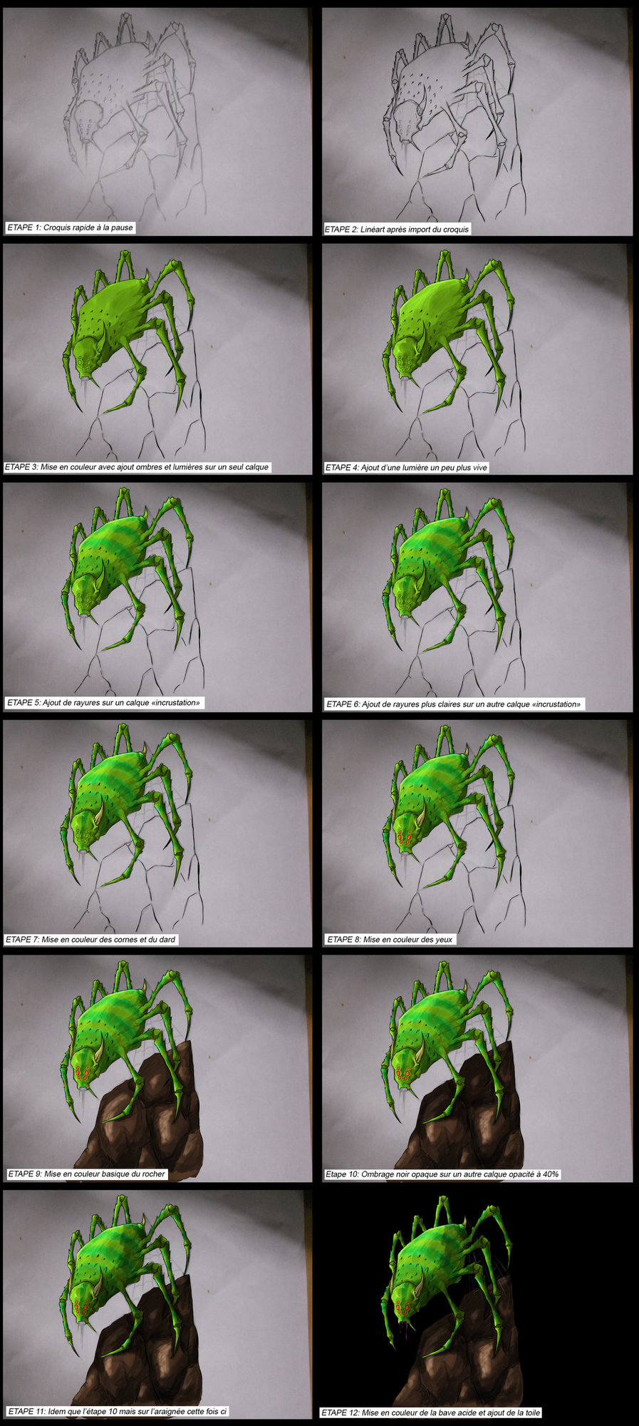 araignée étape par étape.jpg