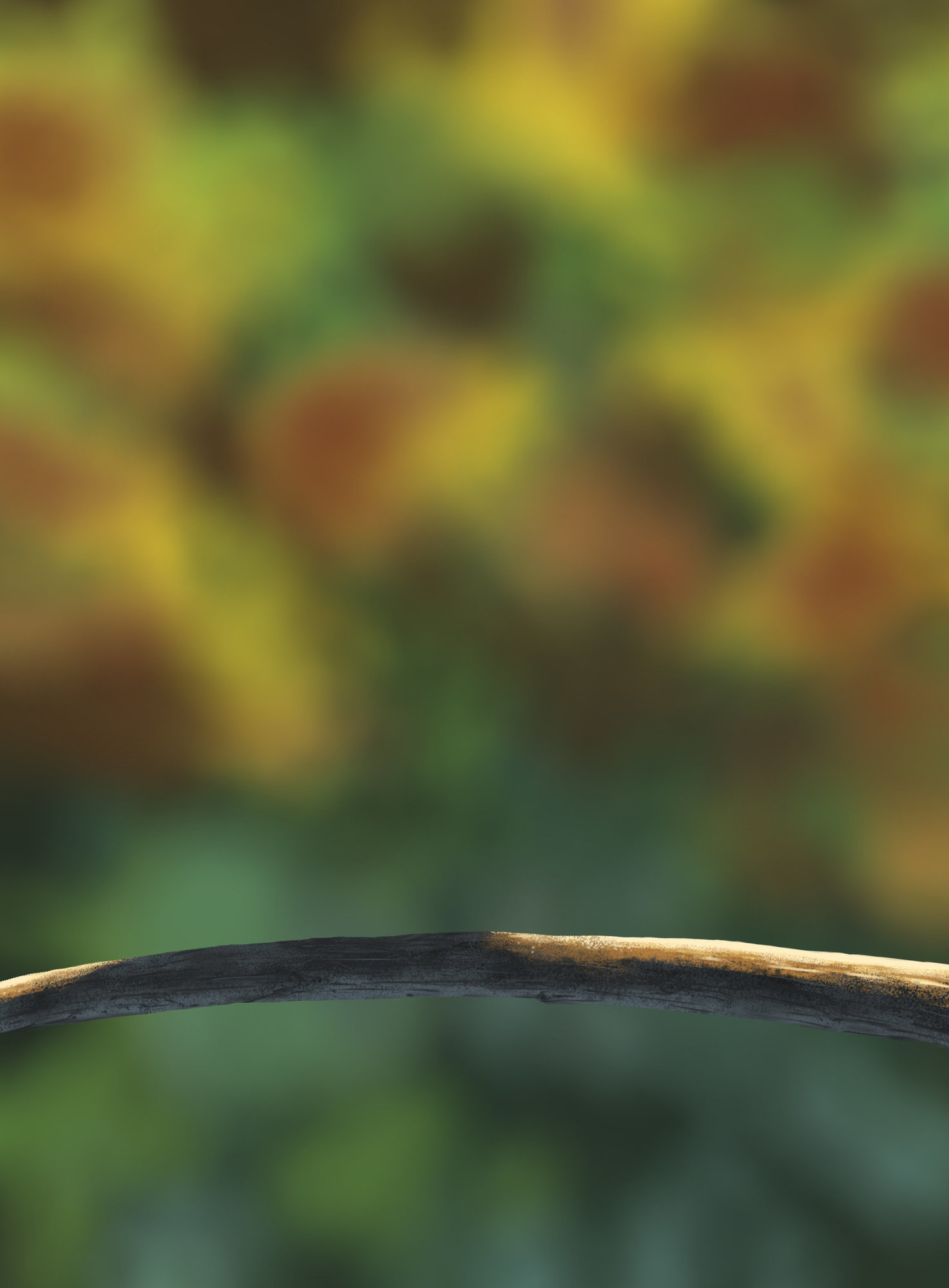 DPS Prog-1-1-Exercice5-Oiseau-Commencement.jpg