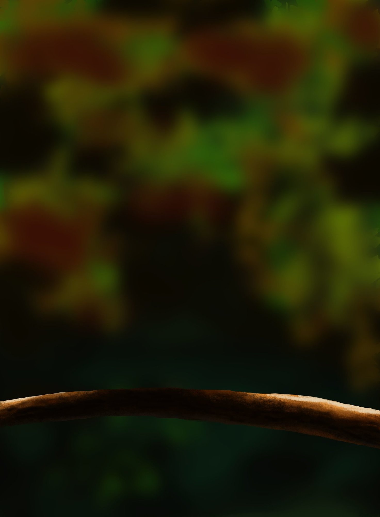 DPS Prog-1-1-Exercice5-Oiseau-Etape1_nono33.jpg