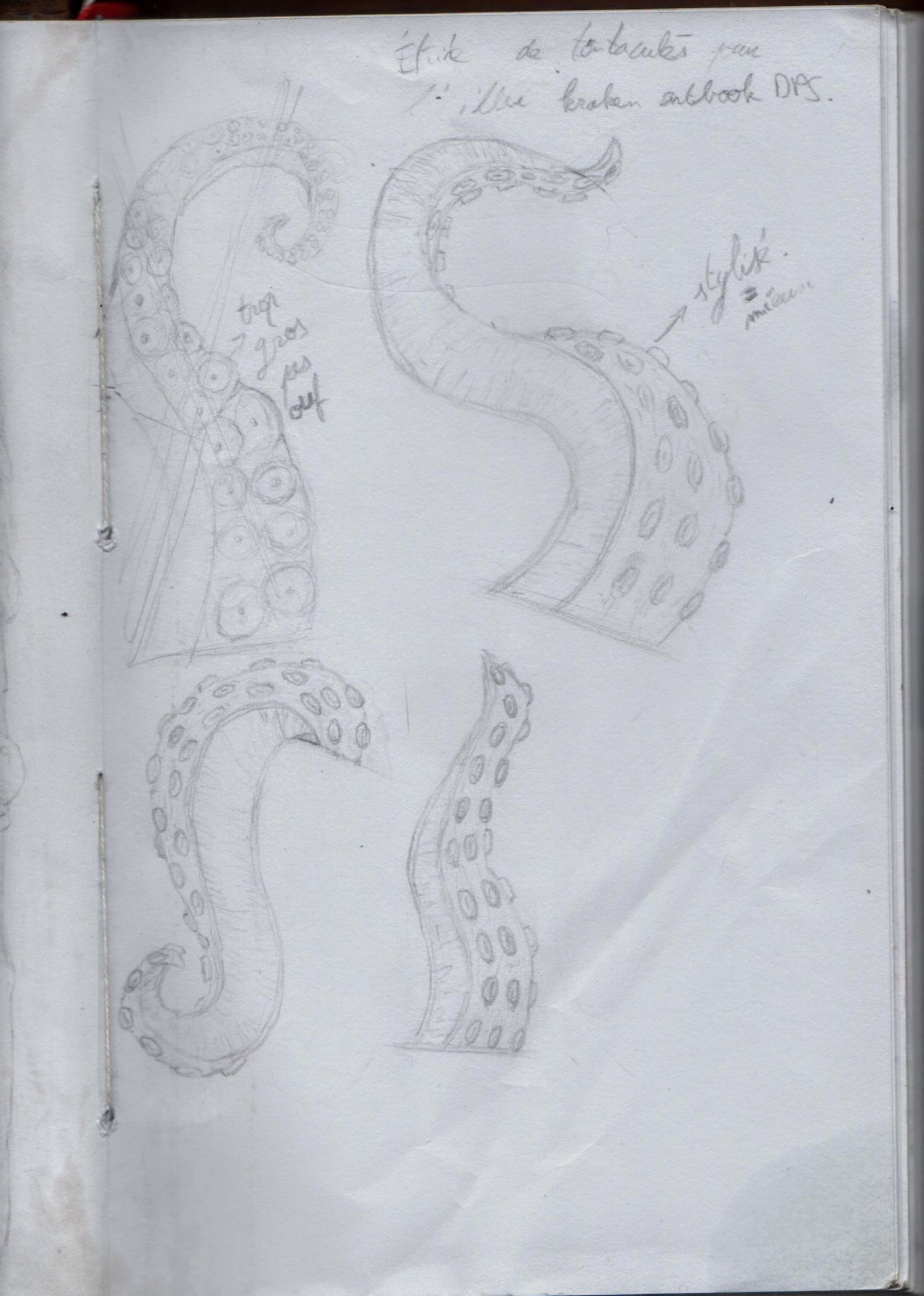 tentacules si jt_attrape .jpeg