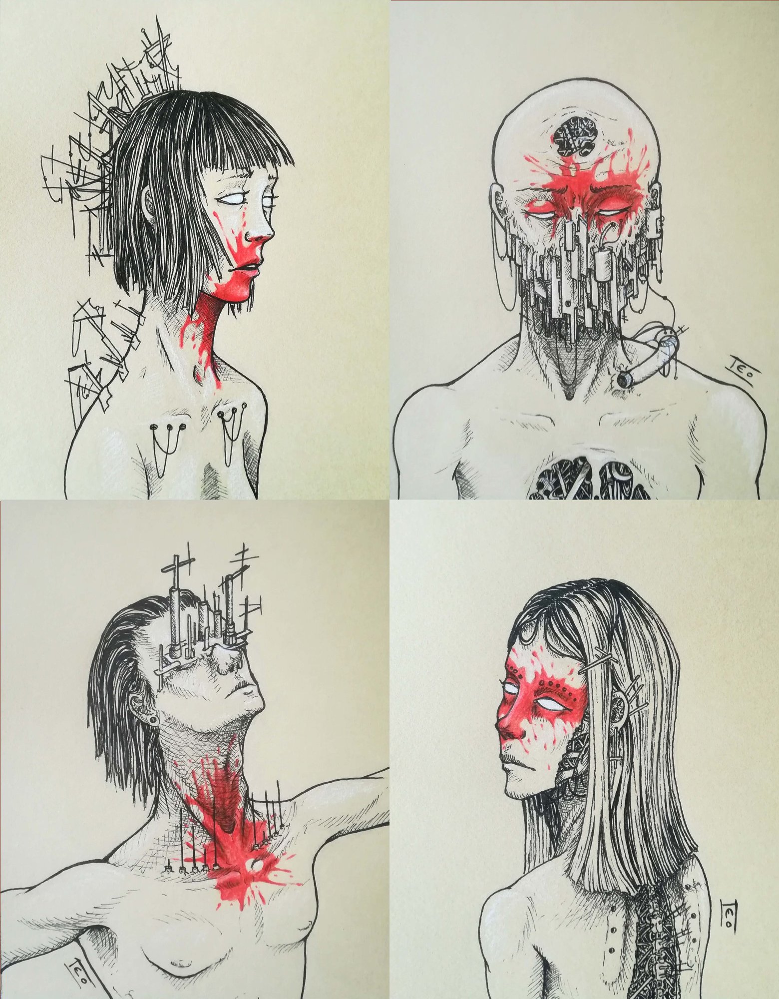 Les sanguinaires 1.jpg