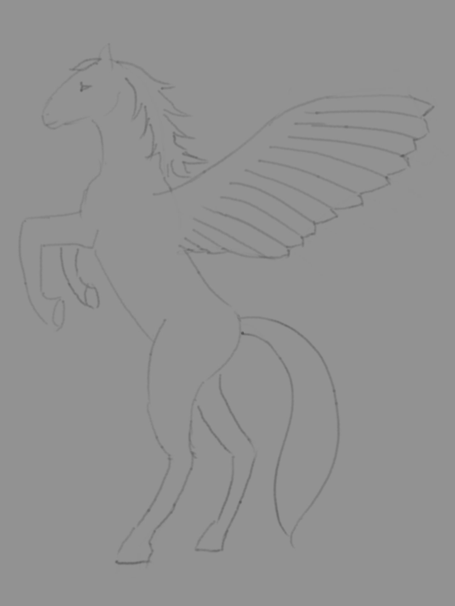 pegasus0001.jpg