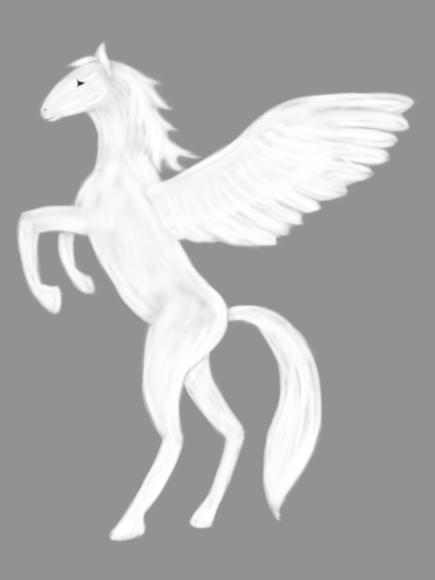 pegasus0002.jpg