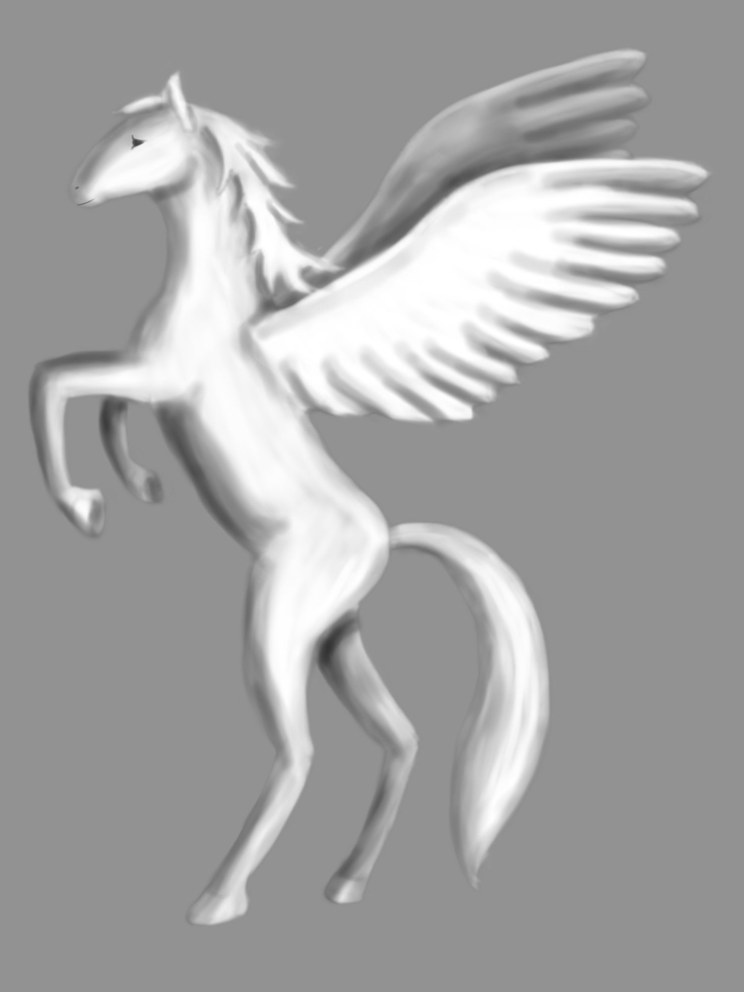 pegasus003.jpg