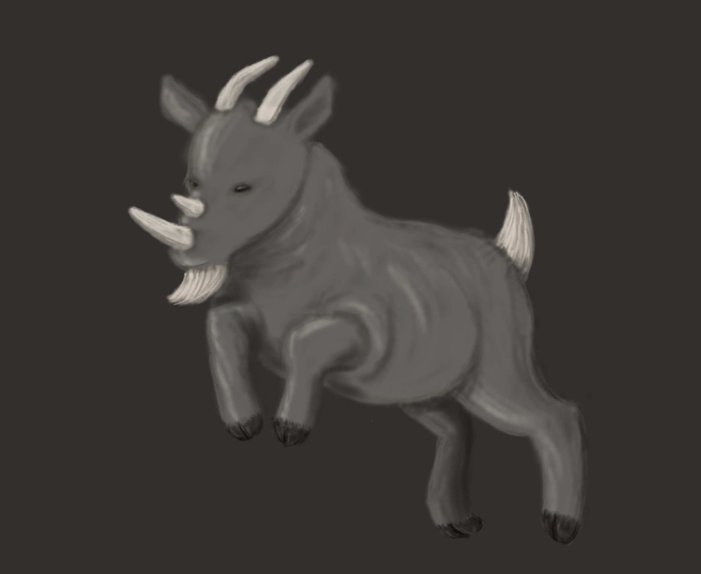 rhino-goat_005.jpg