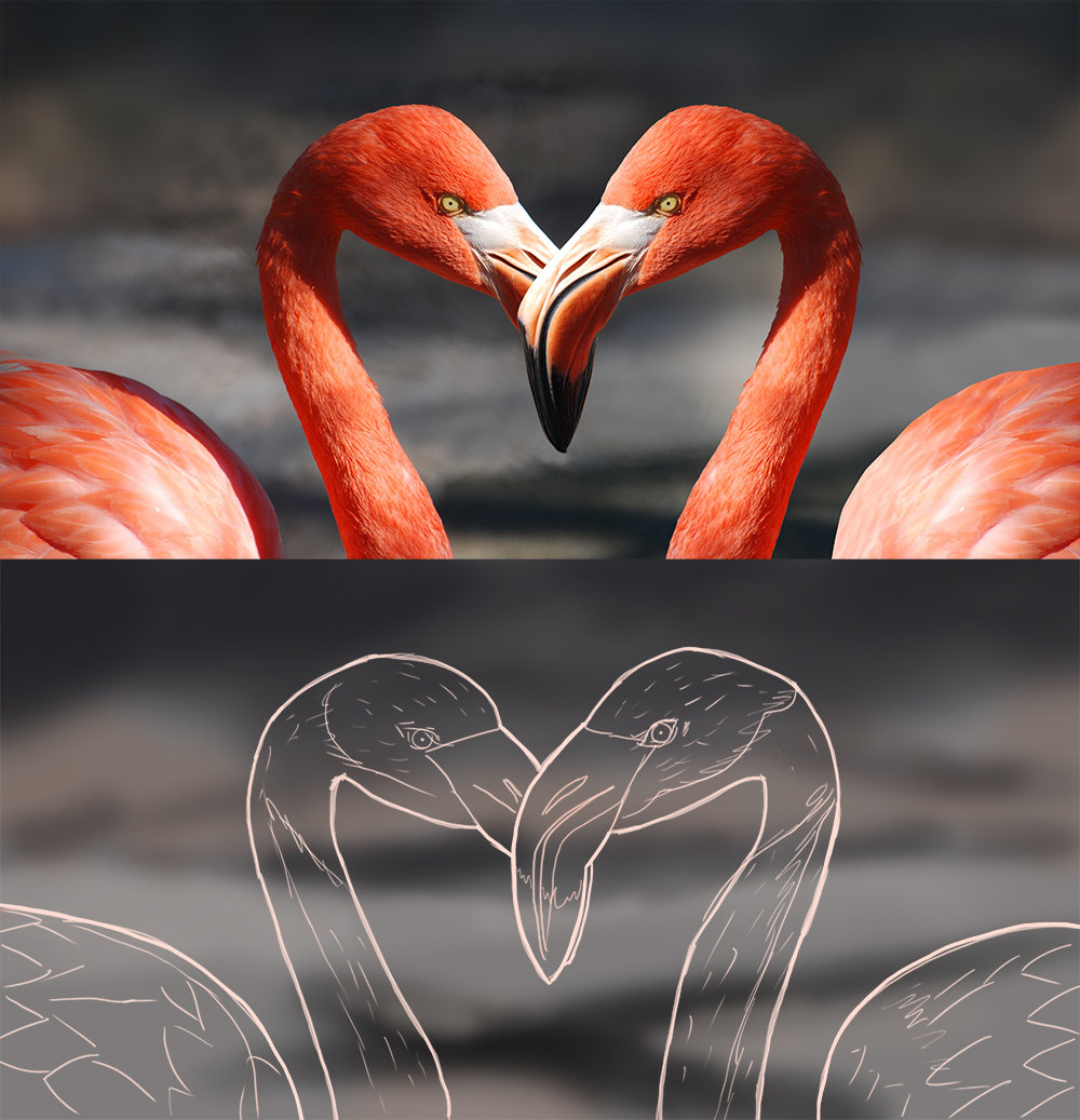 126785510_flamingo-valentine-heart-valentine-s-day-39627copie.jpg.baff9a8cf3c31f268bbf3064bc3824af.jpg
