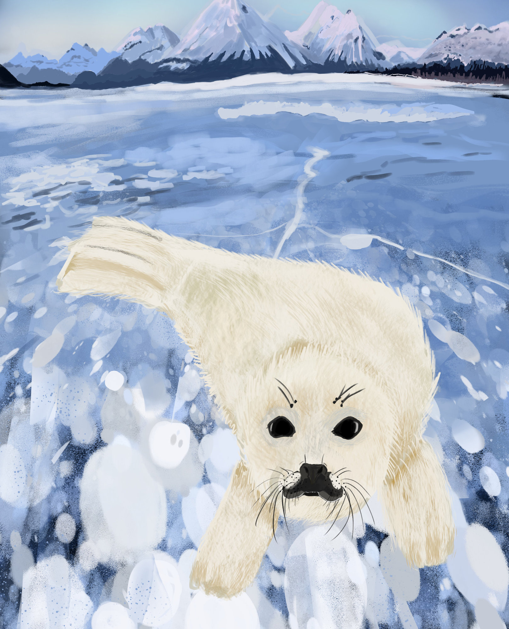 DPS_artbook_gabarit_couverture bébé phoque by Rockblue.jpg