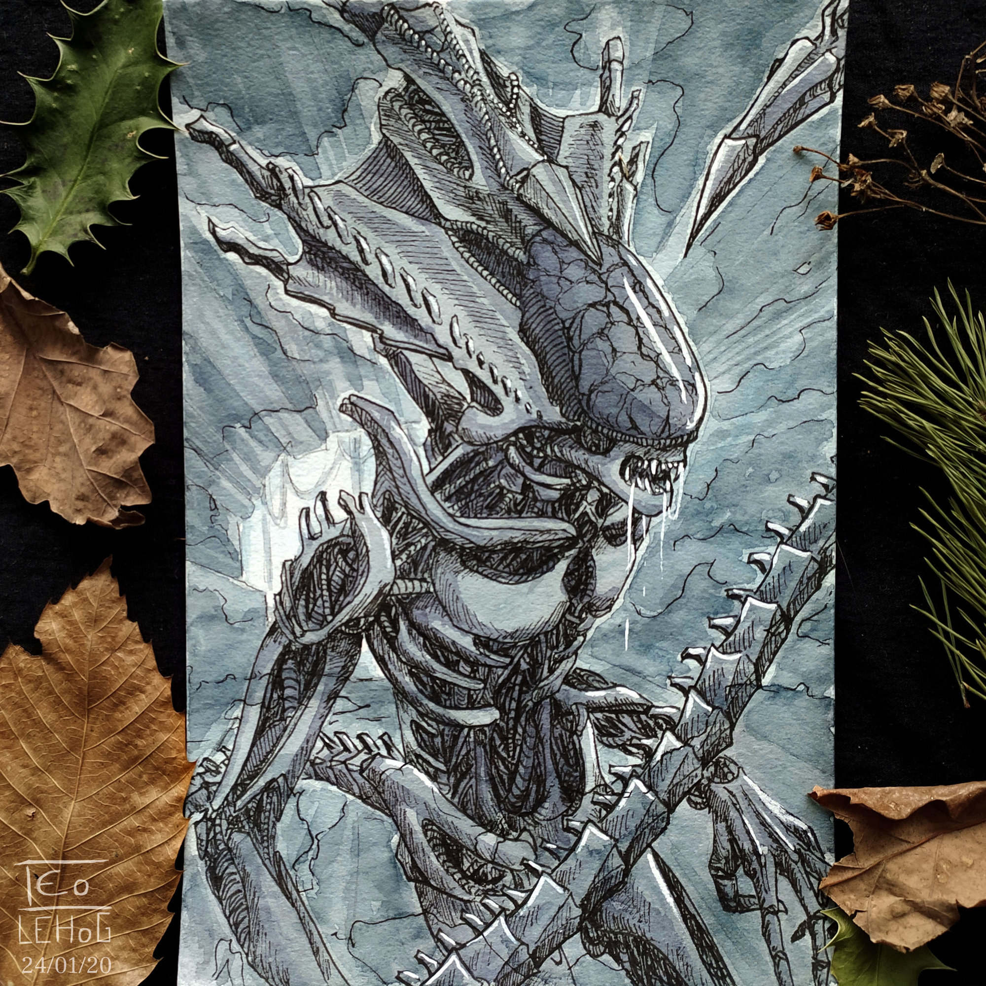 12 Ceratopsian Alien 1.jpg