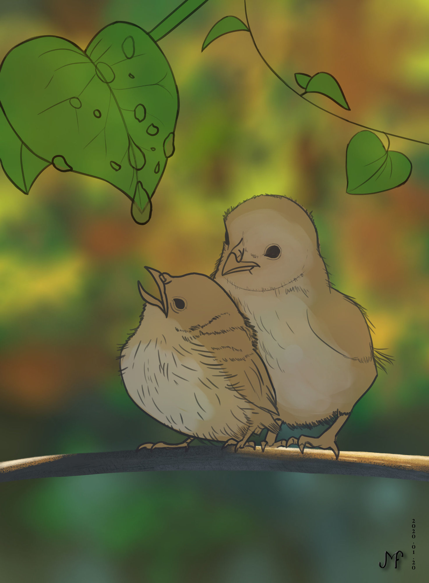 DPS Prog-1-1-Exercice5-Oiseau-etape2-Jef.jpg