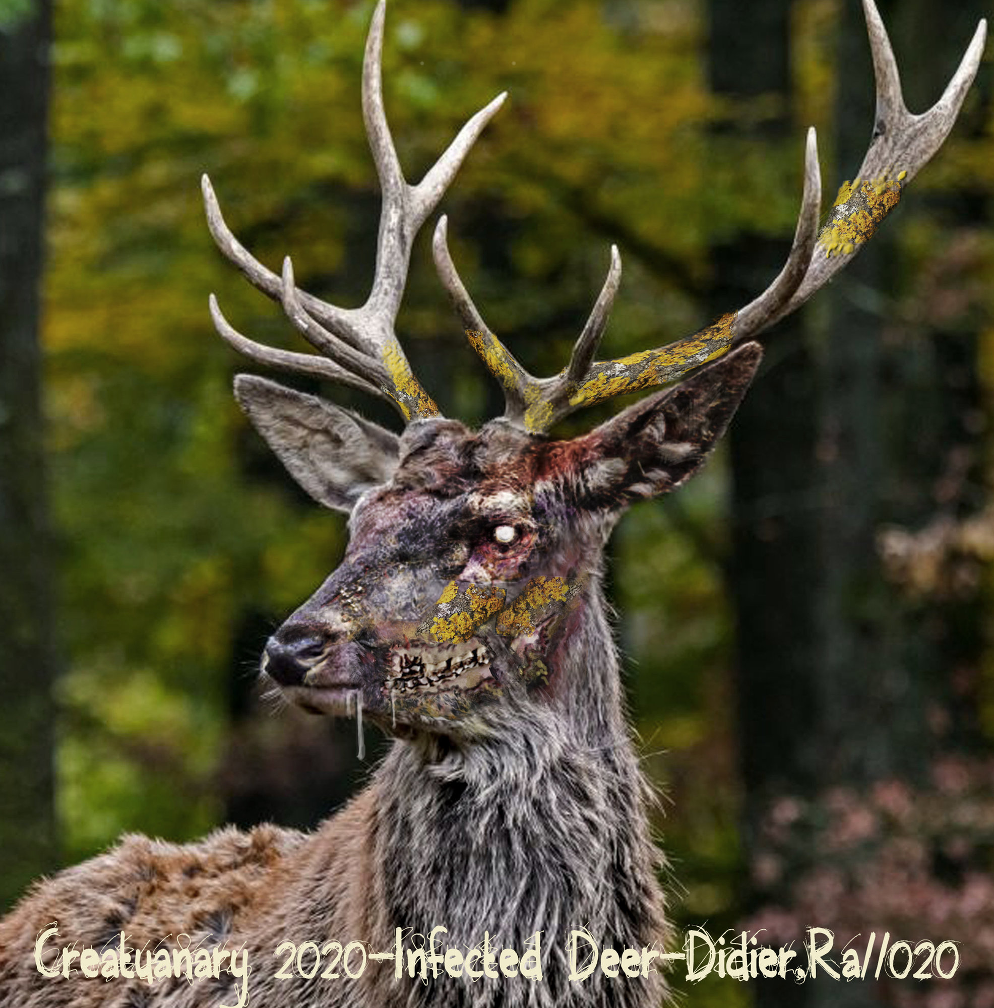 infecteddear copielow.jpg