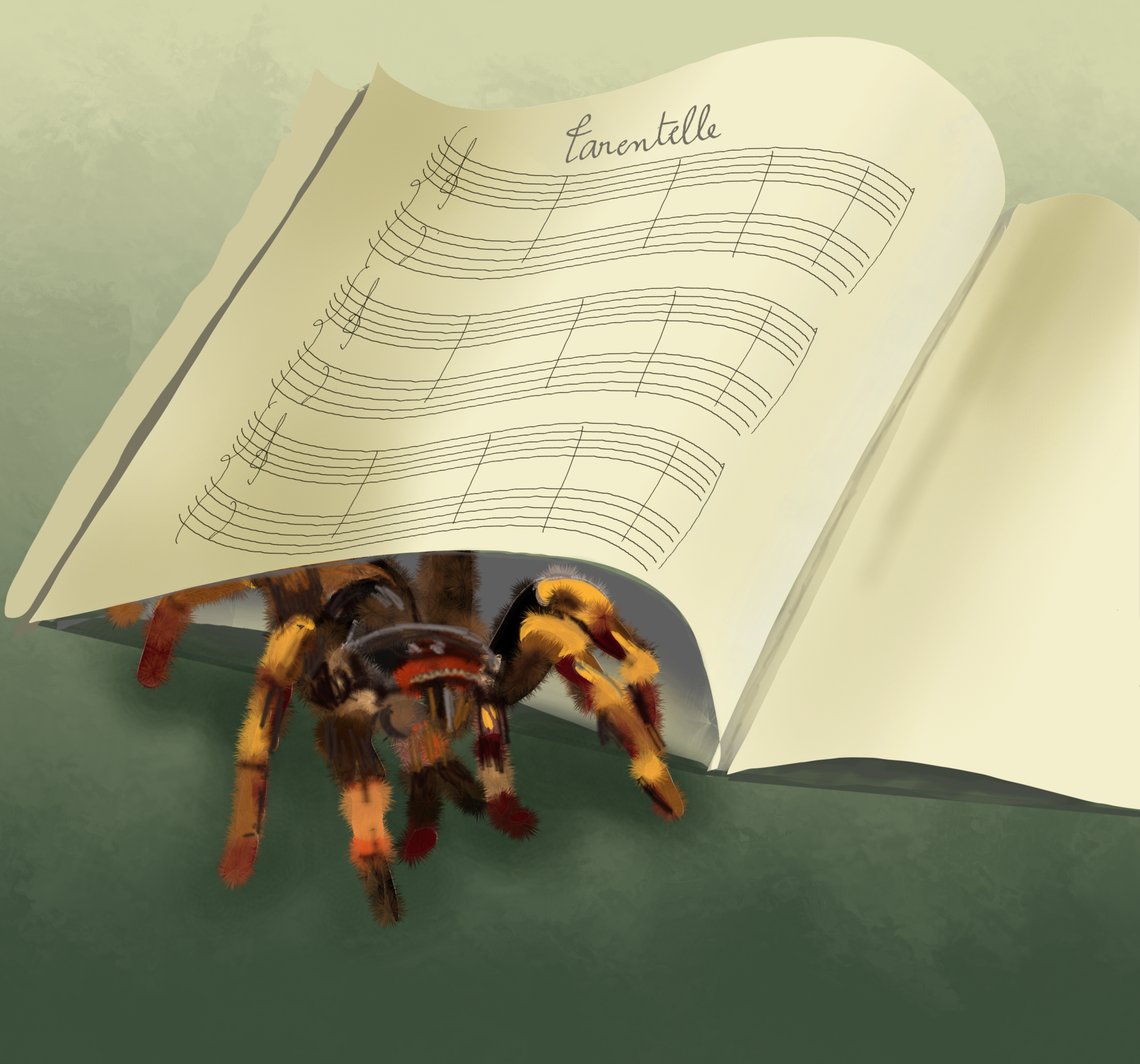 tarentule planquée.png