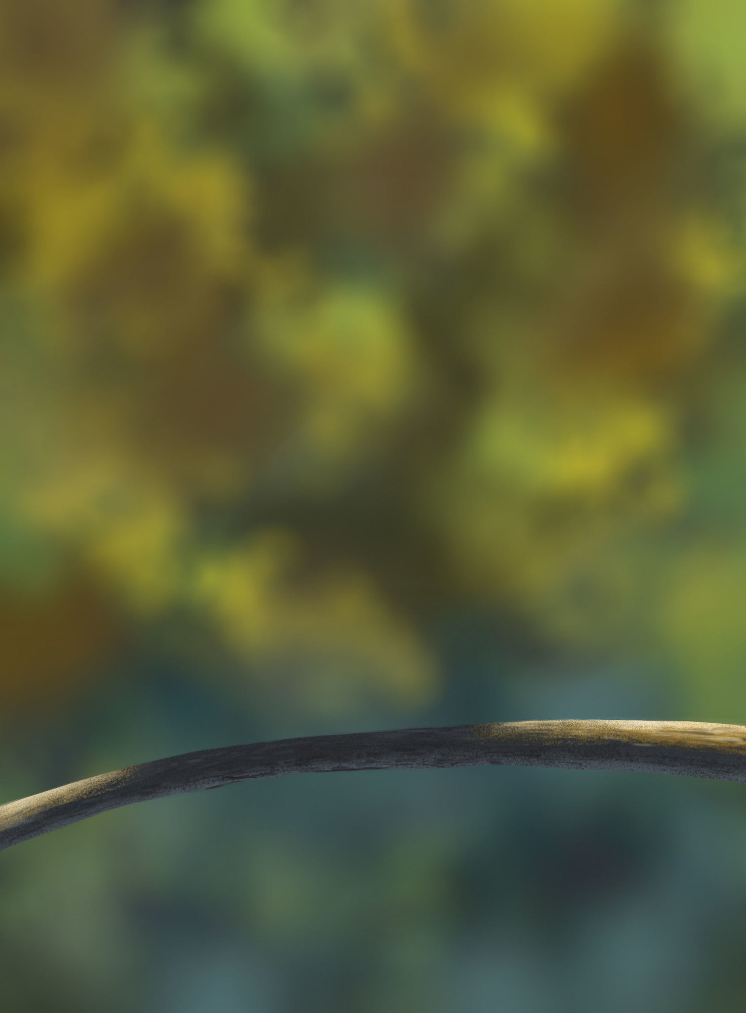 DPS Prog-1-1-Exercice5-Oiseau-Commencement_FINI (1h).jpg