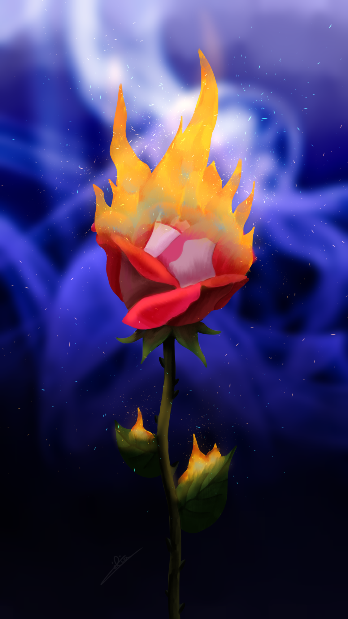 fire flower.png