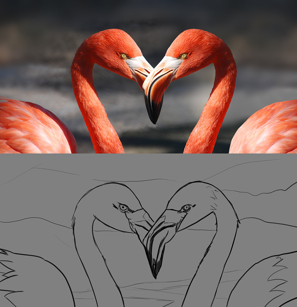 1569000440_flamingo-valentine-heart-valentine-s-day-39627croquissmall.jpg.0ac8b5b8dcf05730dfcaf12f92a8f4b9.jpg