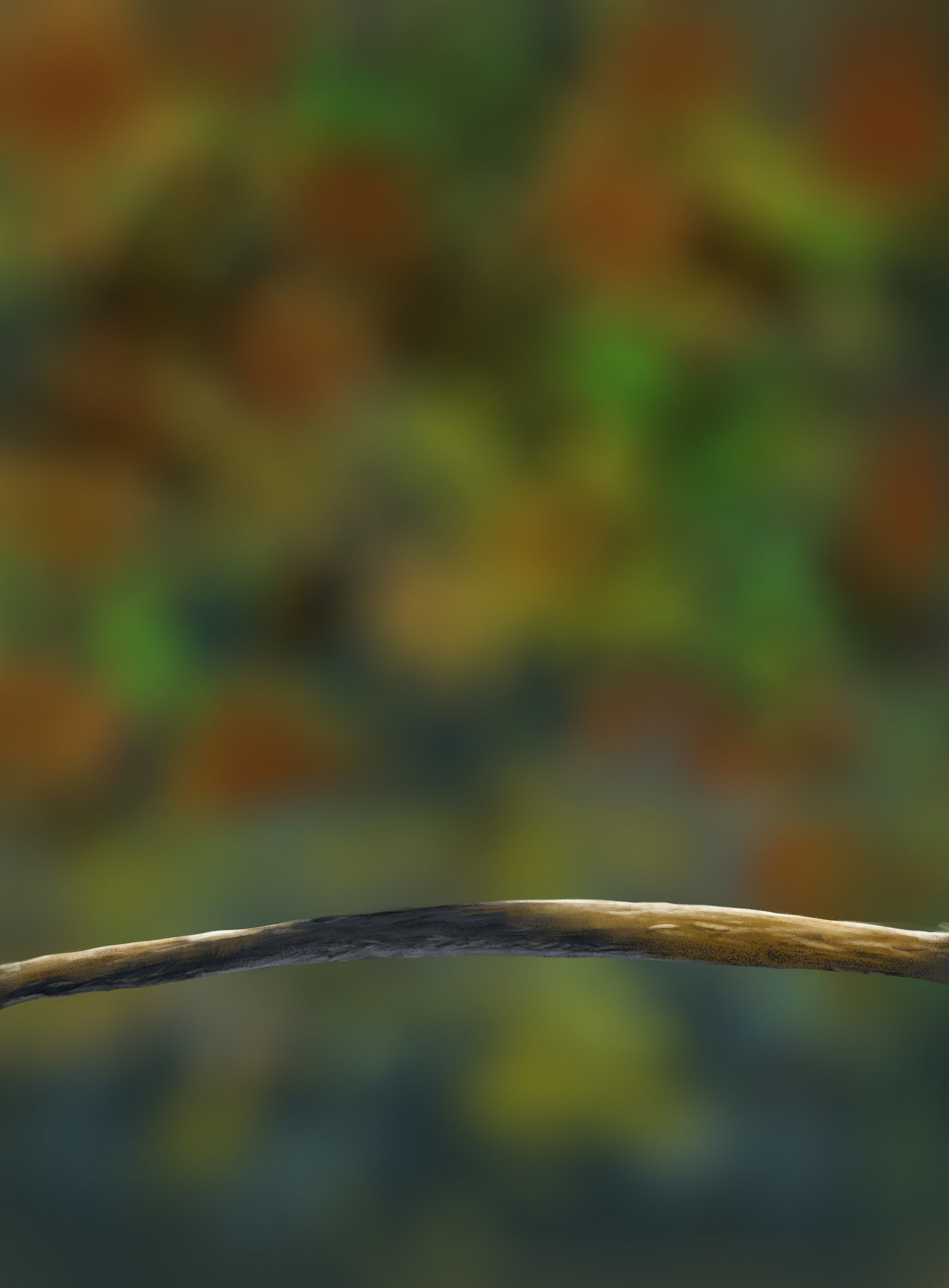 DPS Prog-1-1-Exercice5-Oiseau-Commencement.jpg