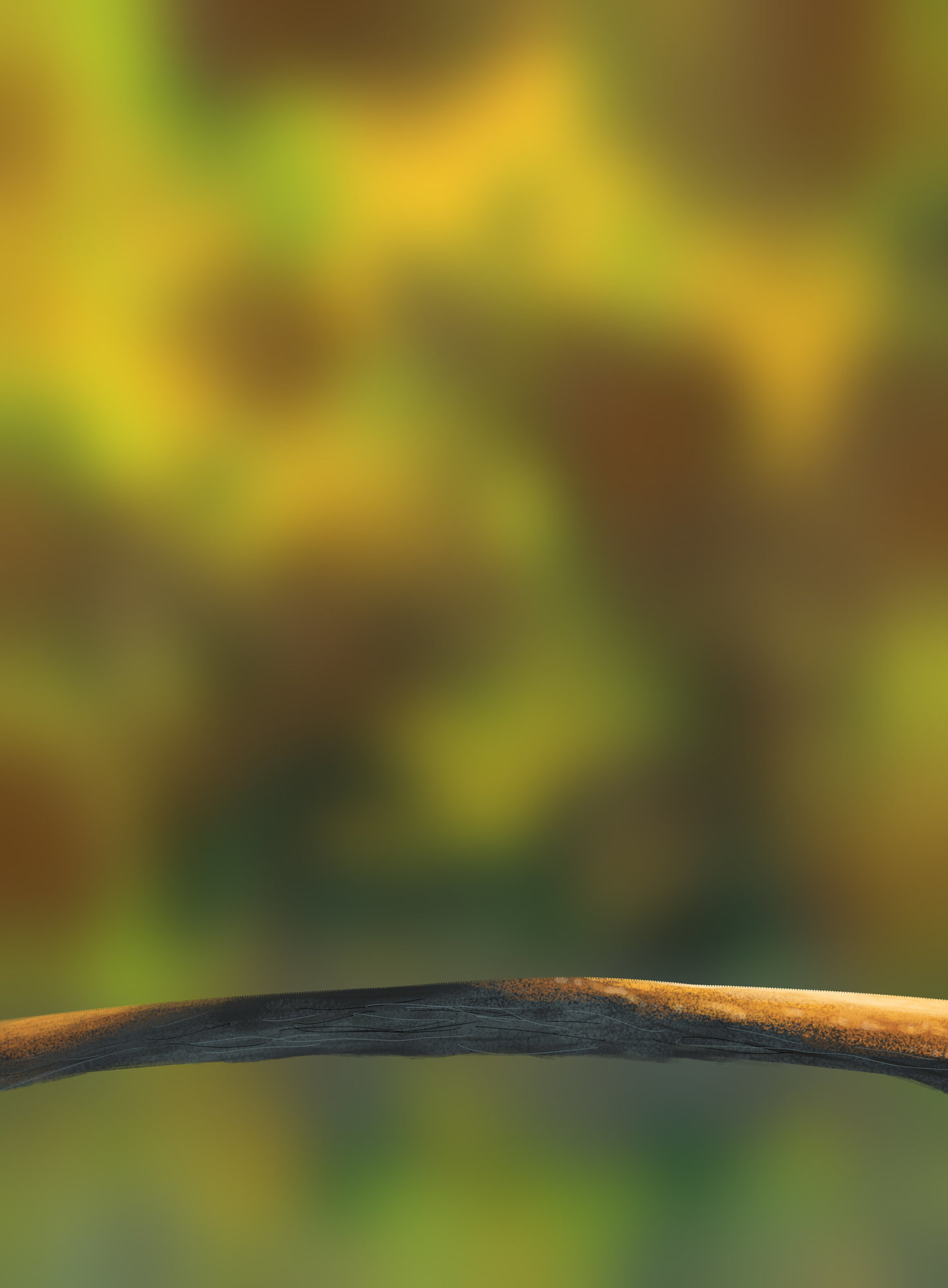 EX 5 ( oisillon branche fond ) .jpg