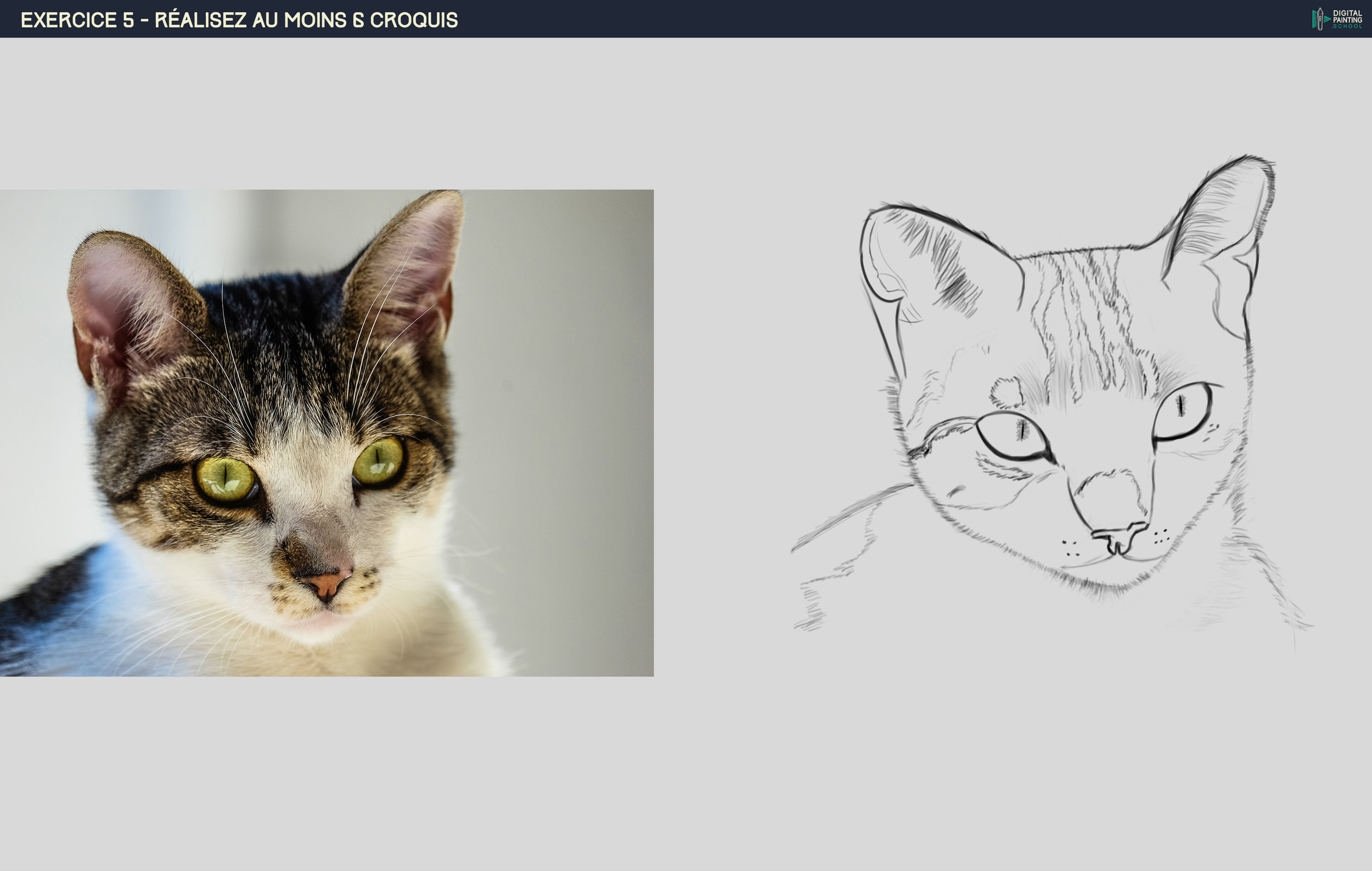 1701891401_Exercice5-5(Chat).jpg.0121c79d7445c340abf34b617aed178a.jpg