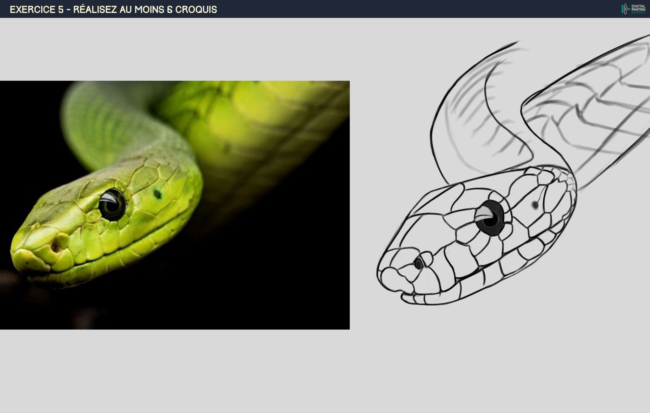 202008611_Exercice5-6(Serpent).jpg.87d00d4c0cb3795caffe09985b536442.jpg