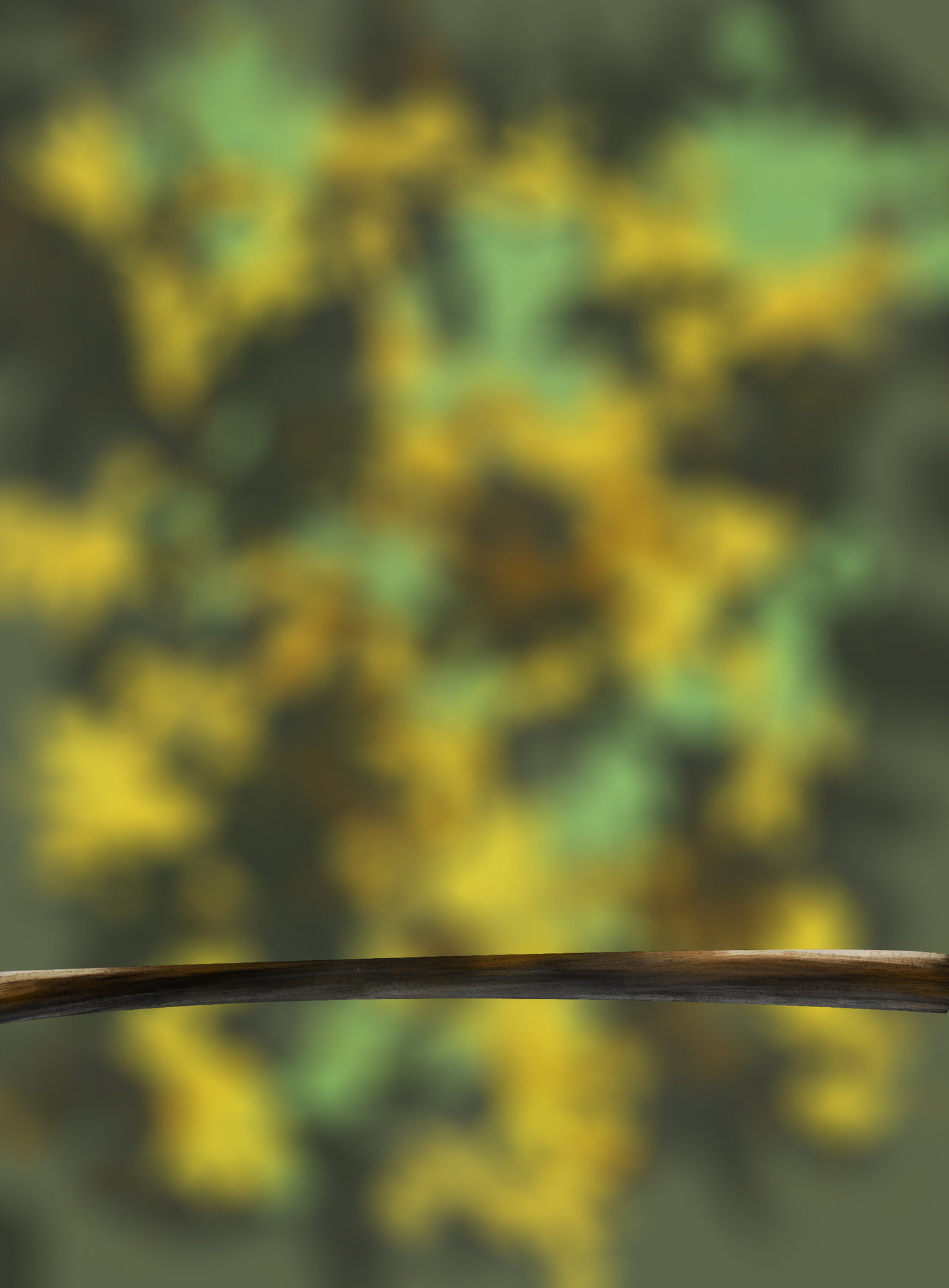 DPS Prog-1-1-Exercice5-Oiseau-Commencement copie.jpg