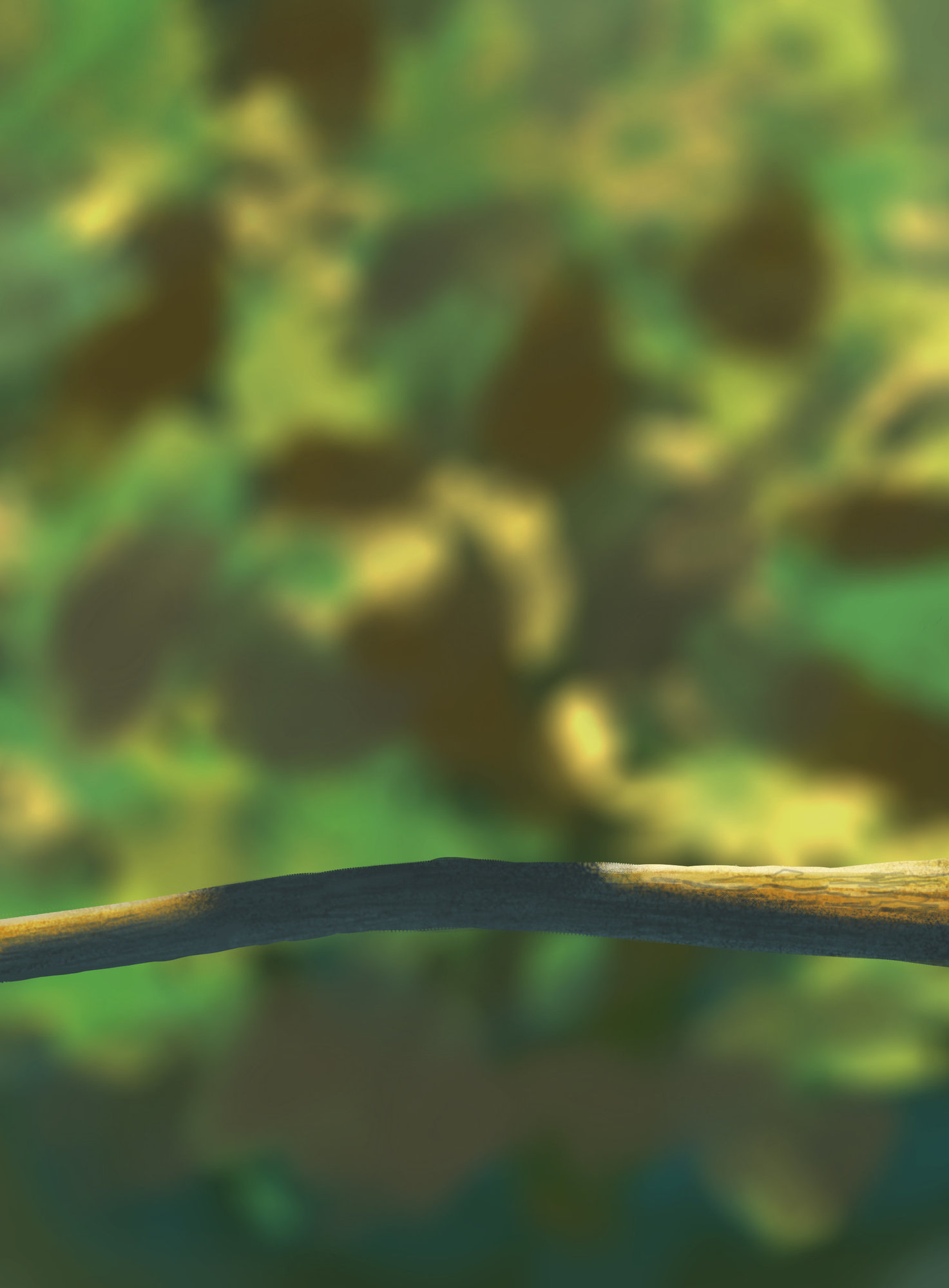 les oisillons HB.jpg